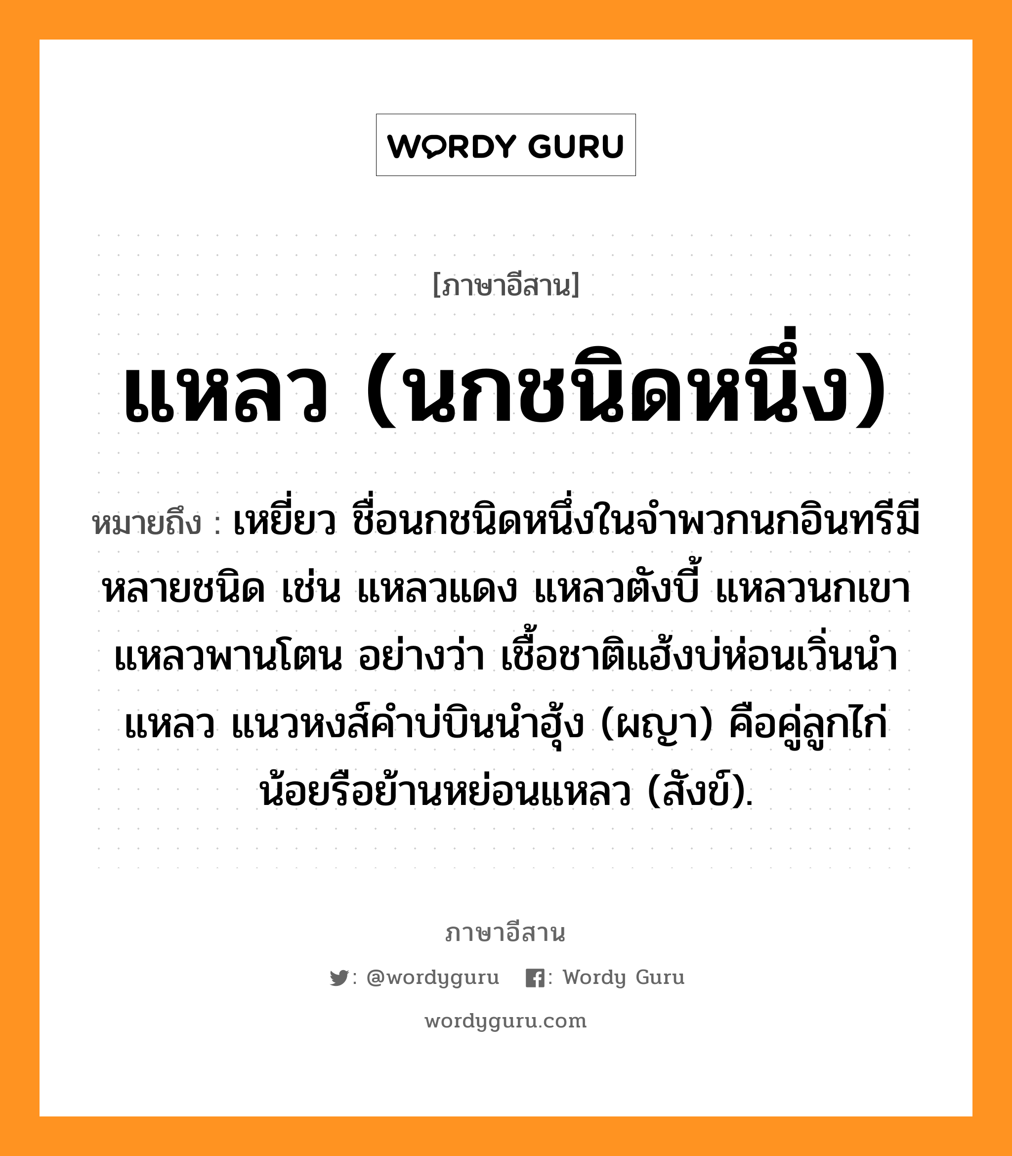 แหลว (นกชนิดหนึ่ง) หมายถึงอะไร, ภาษาอีสาน แหลว (นกชนิดหนึ่ง) หมายถึง เหยี่ยว ชื่อนกชนิดหนึ่งในจำพวกนกอินทรีมีหลายชนิด เช่น แหลวแดง แหลวตังบี้ แหลวนกเขา แหลวพานโตน อย่างว่า เชื้อชาติแฮ้งบ่ห่อนเวิ่นนำแหลว แนวหงส์คำบ่บินนำฮุ้ง (ผญา) คือคู่ลูกไก่น้อยรือย้านหย่อนแหลว (สังข์). หมวด แหลว