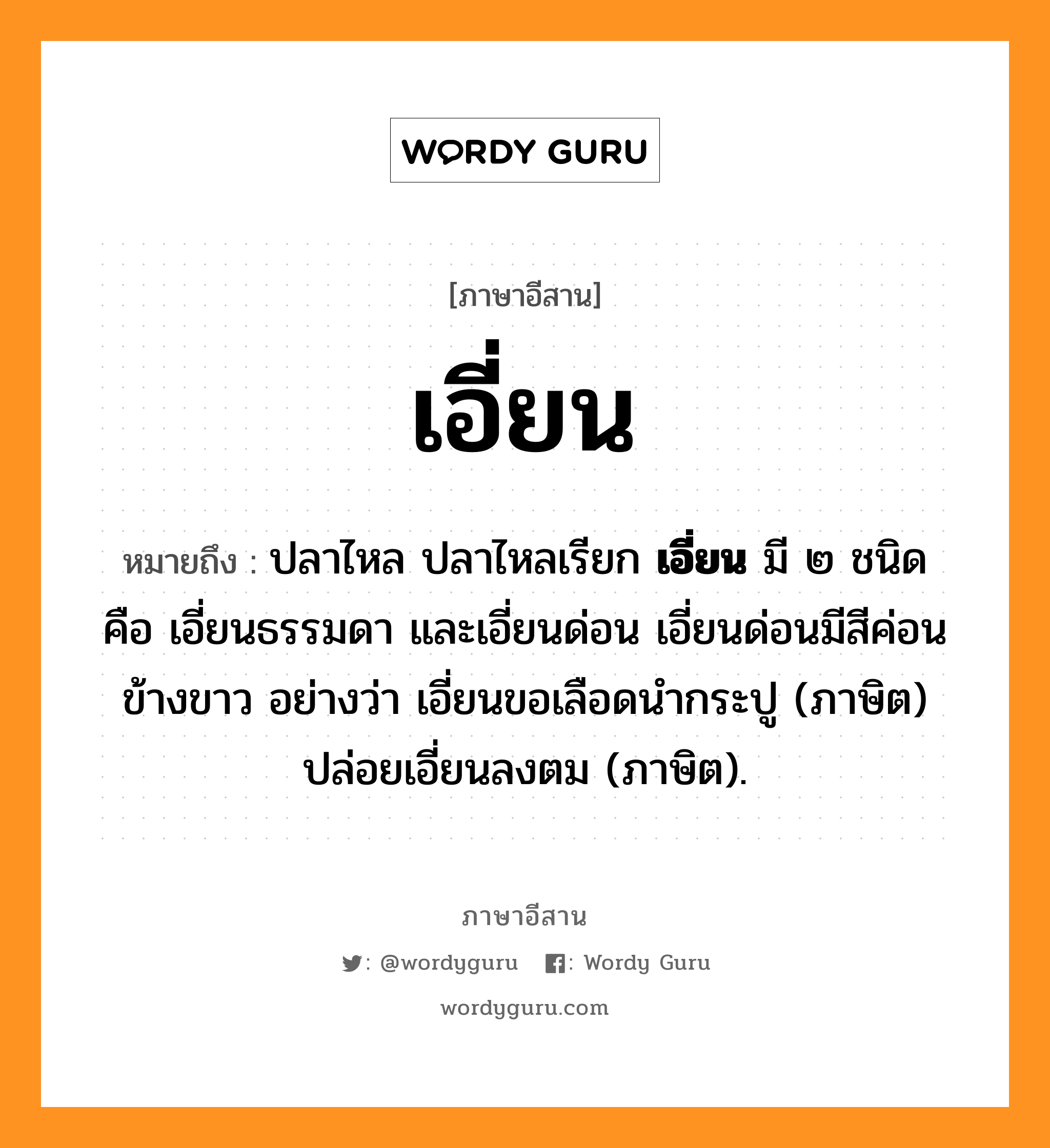 เอี่ยน หมายถึงอะไร, ภาษาอีสาน เอี่ยน หมายถึง ปลาไหล ปลาไหลเรียก &lt;b&gt;เอี่ยน&lt;/b&gt; มี ๒ ชนิด คือ เอี่ยนธรรมดา และเอี่ยนด่อน เอี่ยนด่อนมีสีค่อนข้างขาว อย่างว่า เอี่ยนขอเลือดนำกระปู (ภาษิต) ปล่อยเอี่ยนลงตม (ภาษิต). หมวด เอี่ยน