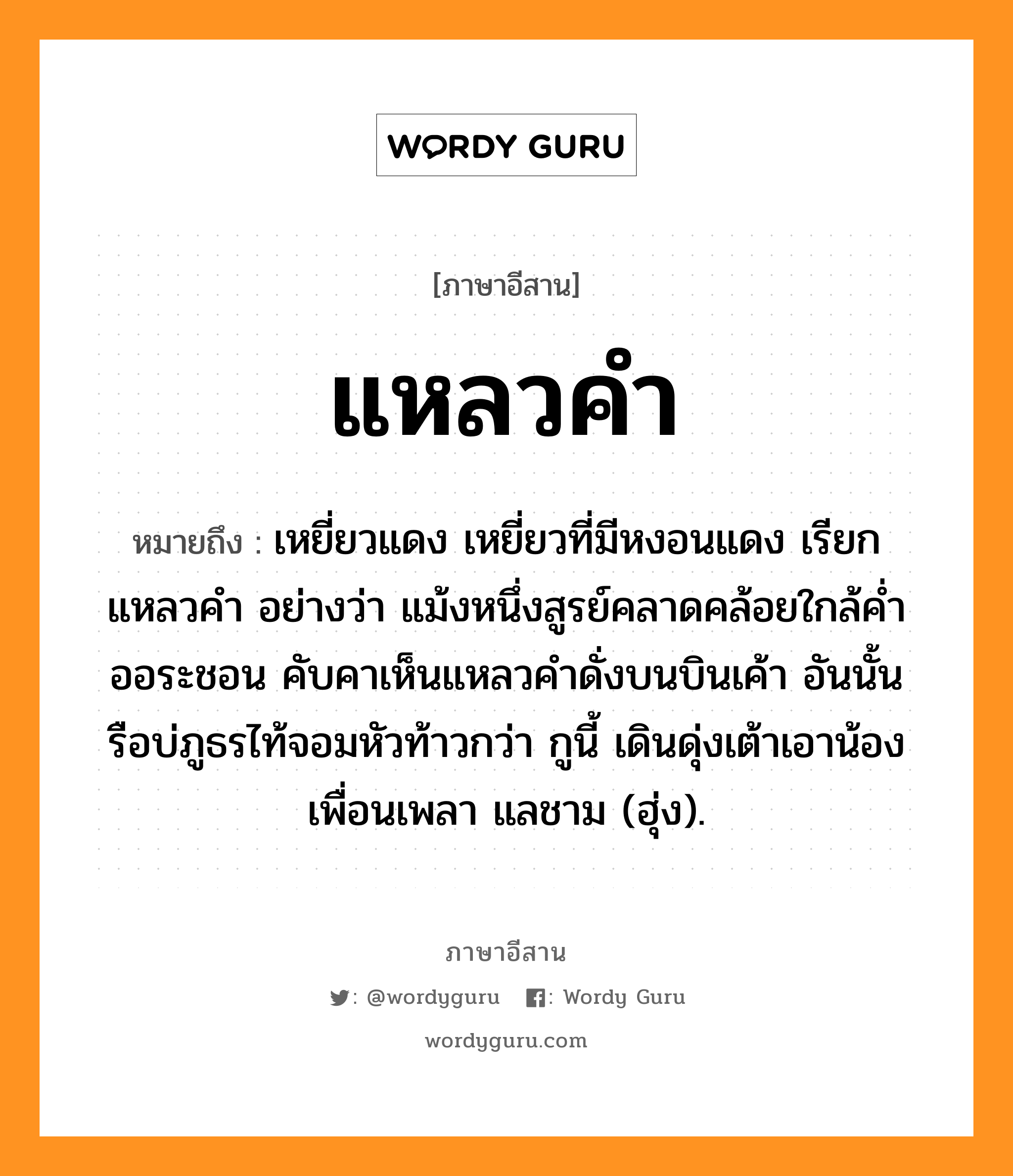 แหลวคำ หมายถึงอะไร, ภาษาอีสาน แหลวคำ หมายถึง เหยี่ยวแดง เหยี่ยวที่มีหงอนแดง เรียก แหลวคำ อย่างว่า แม้งหนึ่งสูรย์คลาดคล้อยใกล้ค่ำออระชอน คับคาเห็นแหลวคำดั่งบนบินเค้า อันนั้นรือบ่ภูธรไท้จอมหัวท้าวกว่า กูนี้ เดินดุ่งเต้าเอาน้องเพื่อนเพลา แลชาม (ฮุ่ง). หมวด แหลว - คำ