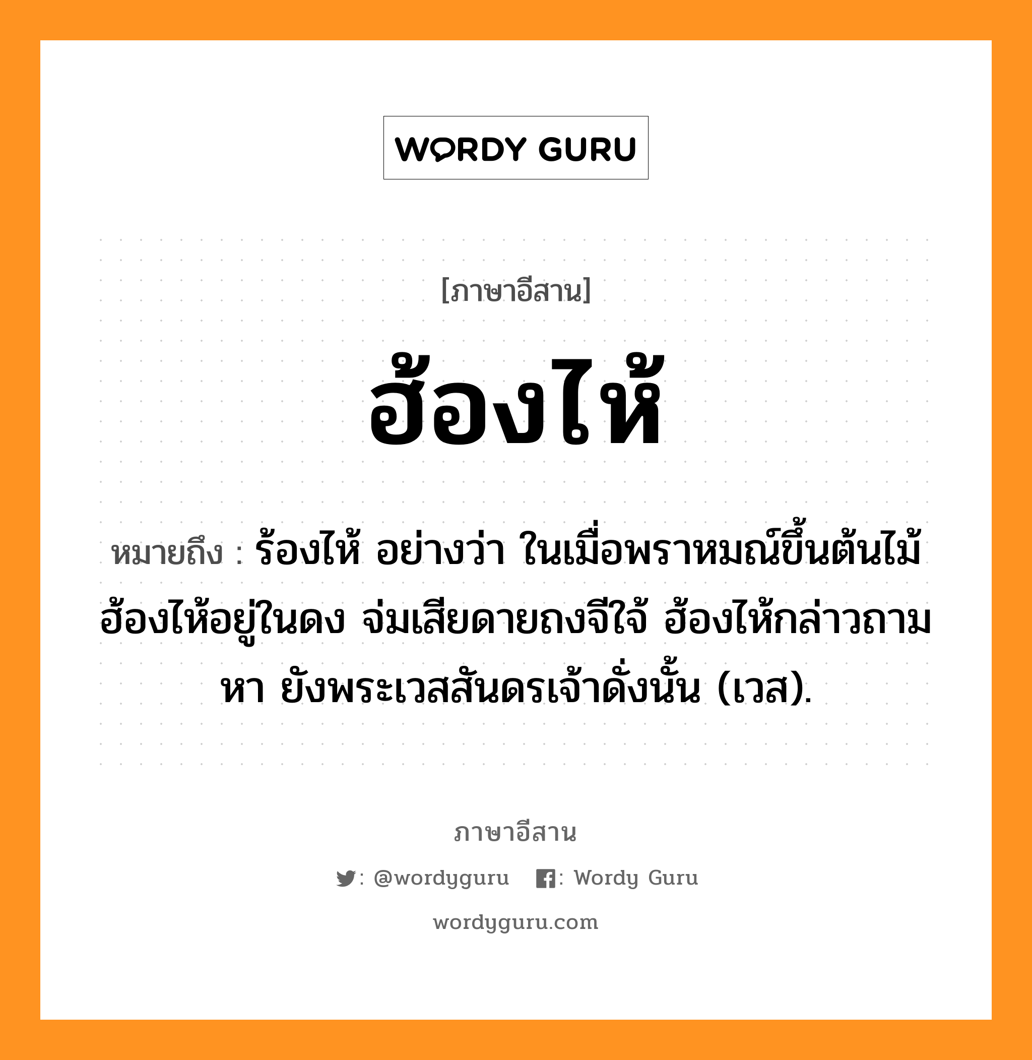 ฮ้องไห้ หมายถึงอะไร, ภาษาอีสาน ฮ้องไห้ หมายถึง ร้องไห้ อย่างว่า ในเมื่อพราหมณ์ขึ้นต้นไม้ฮ้องไห้อยู่ในดง จ่มเสียดายถงจีใจ้ ฮ้องไห้กล่าวถามหา ยังพระเวสสันดรเจ้าดั่งนั้น (เวส). หมวด ฮ้องไห้