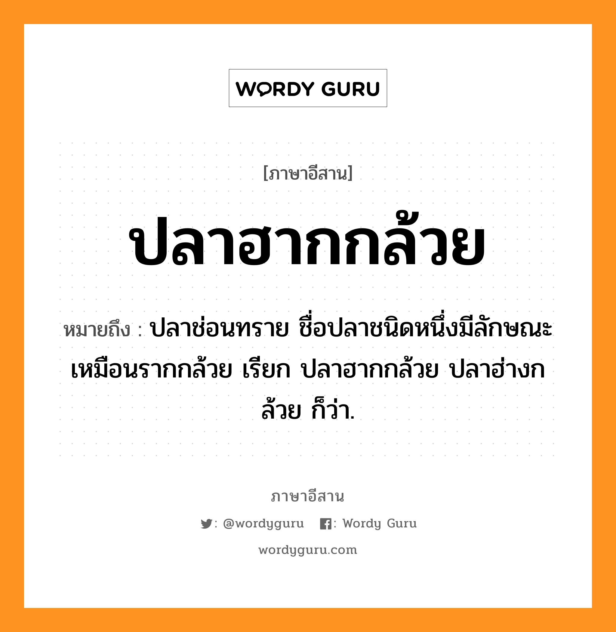 ปลาฮากกล้วย หมายถึงอะไร, ภาษาอีสาน ปลาฮากกล้วย หมายถึง ปลาช่อนทราย ชื่อปลาชนิดหนึ่งมีลักษณะเหมือนรากกล้วย เรียก ปลาฮากกล้วย ปลาฮ่างกล้วย ก็ว่า. หมวด ปลา - ฮาก - กล้วย