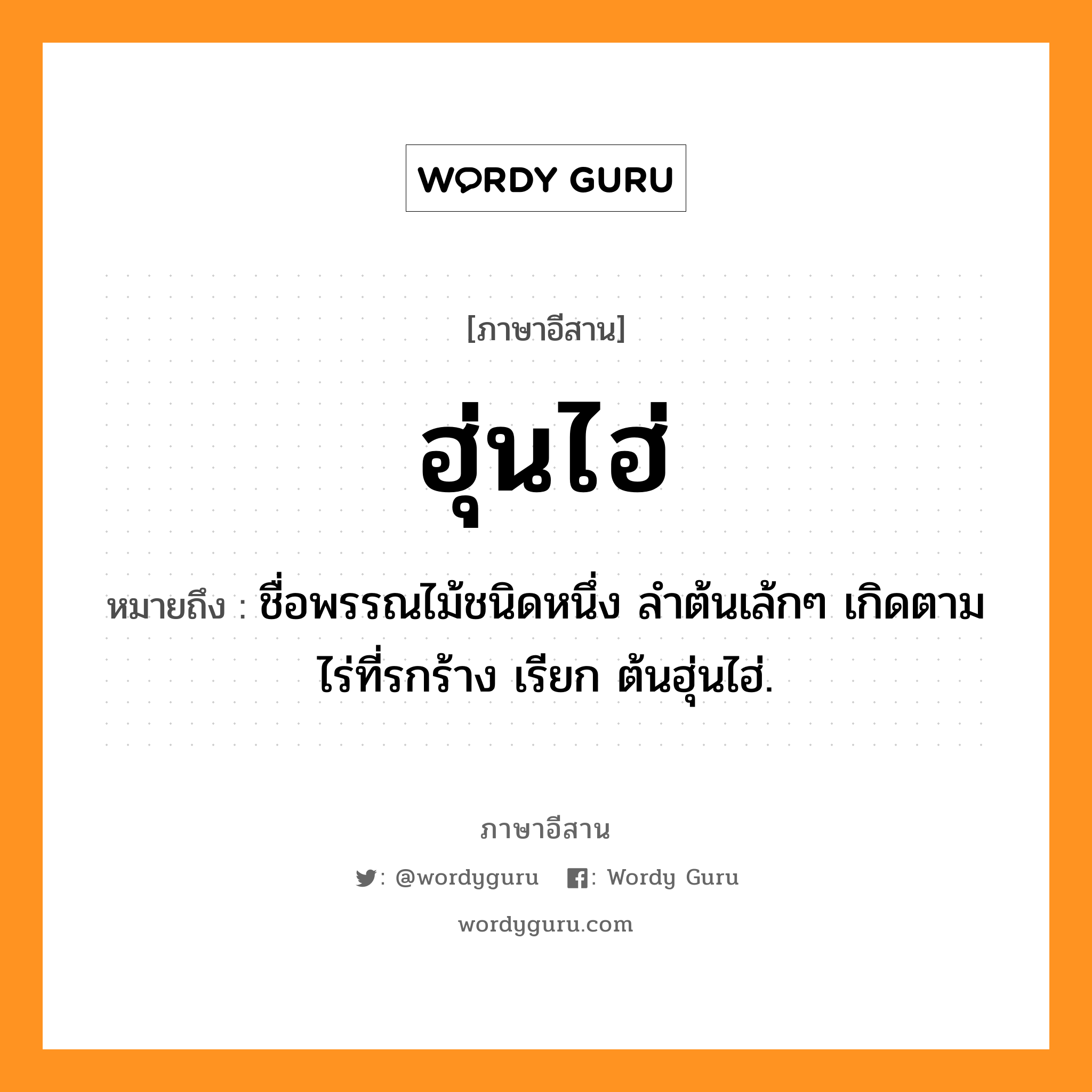 ฮุ่นไฮ่ หมายถึงอะไร, ภาษาอีสาน ฮุ่นไฮ่ หมายถึง ชื่อพรรณไม้ชนิดหนึ่ง ลำต้นเล้กๆ เกิดตามไร่ที่รกร้าง เรียก ต้นฮุ่นไฮ่. หมวด ฮุ่น - ไฮ่