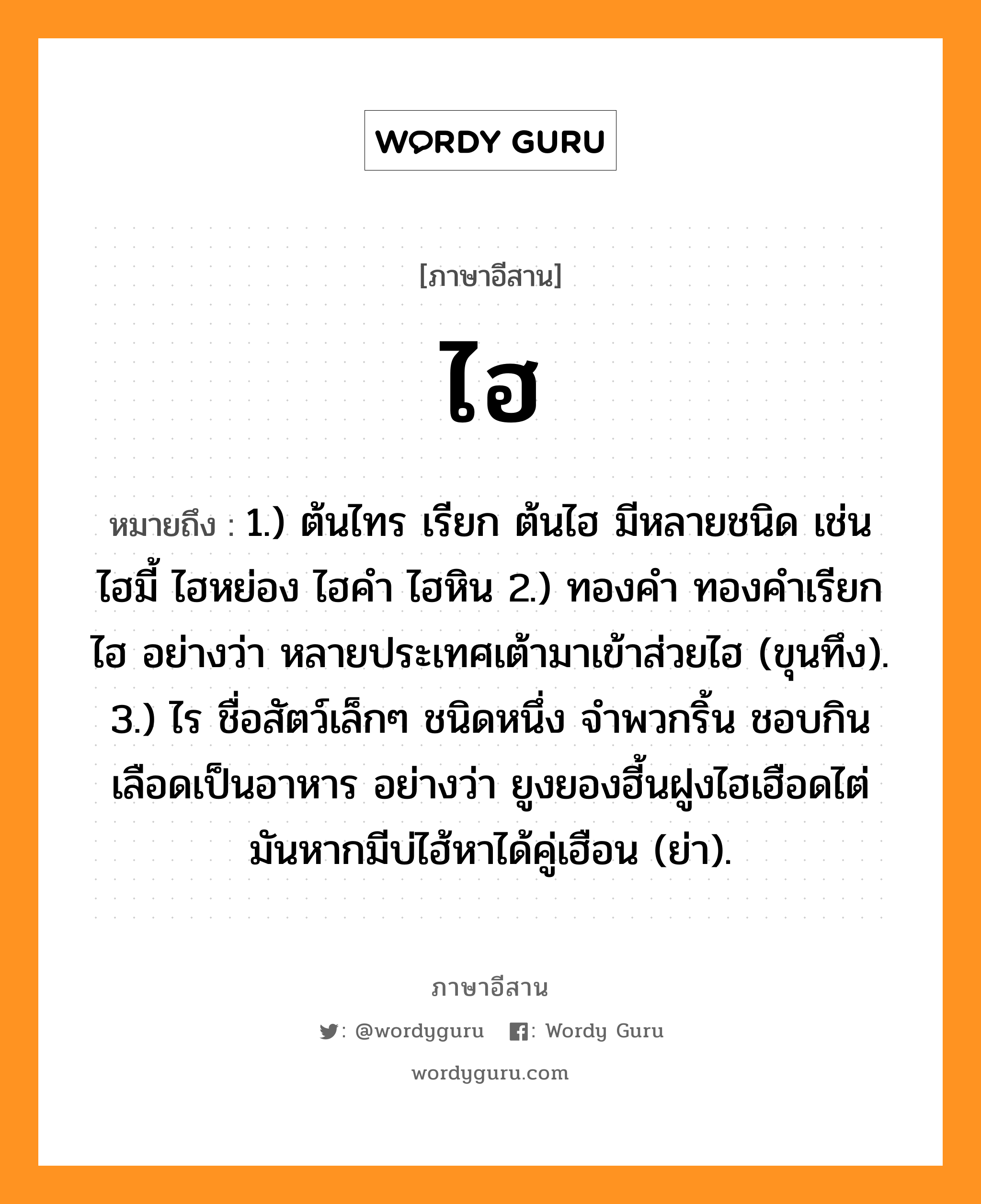 ไฮ หมายถึงอะไร, ภาษาอีสาน ไฮ หมายถึง 1.) ต้นไทร เรียก ต้นไฮ มีหลายชนิด เช่น ไฮมี้ ไฮหย่อง ไฮคำ ไฮหิน 2.) ทองคำ ทองคำเรียก ไฮ อย่างว่า หลายประเทศเต้ามาเข้าส่วยไฮ (ขุนทึง). 3.) ไร ชื่อสัตว์เล็กๆ ชนิดหนึ่ง จำพวกริ้น ชอบกินเลือดเป็นอาหาร อย่างว่า ยูงยองฮี้นฝูงไฮเฮือดไต่ มันหากมีบ่ไฮ้หาได้คู่เฮือน (ย่า). หมวด ไฮ