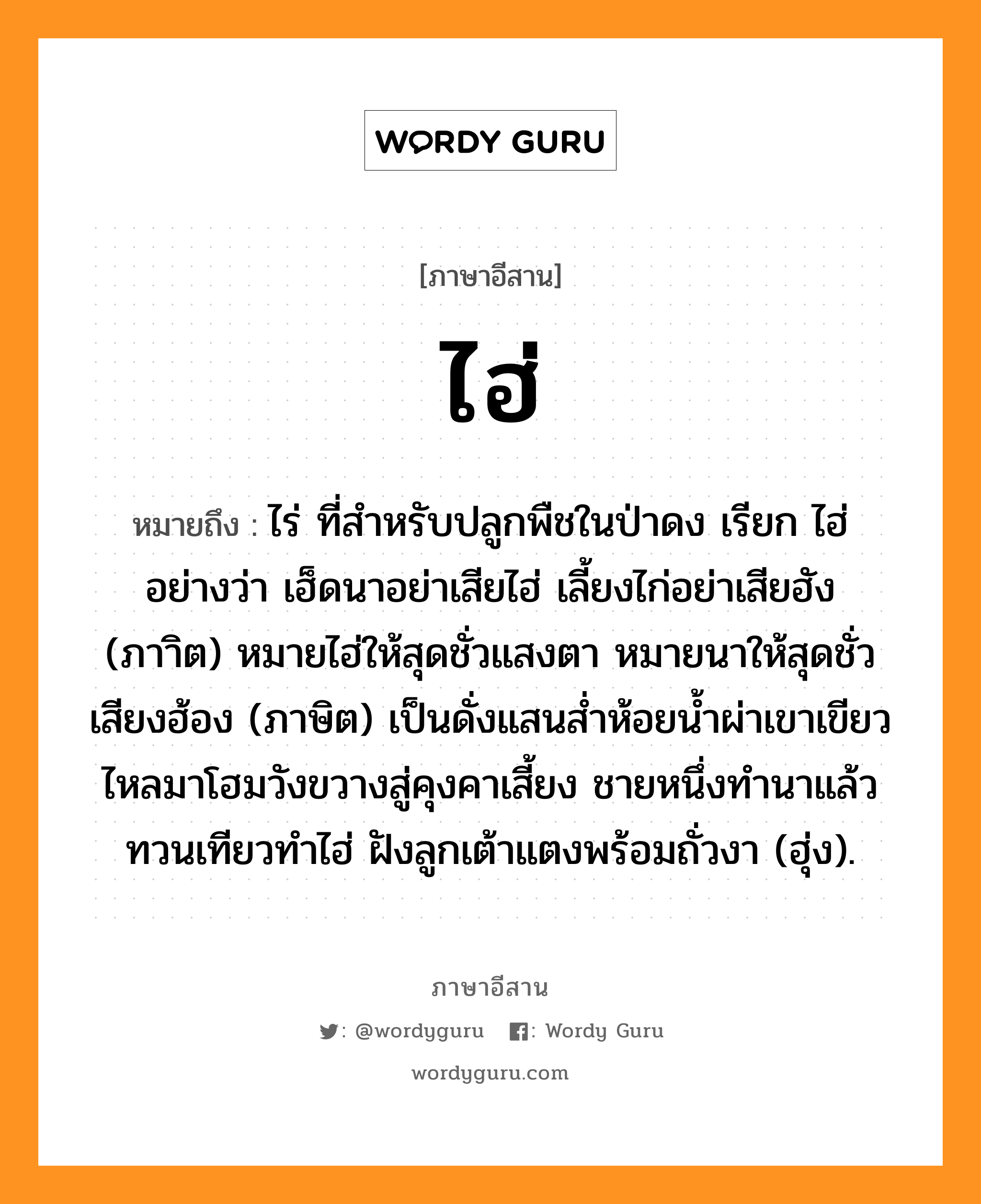 ไฮ่ หมายถึงอะไร, ภาษาอีสาน ไฮ่ หมายถึง ไร่ ที่สำหรับปลูกพืชในป่าดง เรียก ไฮ่ อย่างว่า เฮ็ดนาอย่าเสียไฮ่ เลี้ยงไก่อย่าเสียฮัง (ภาาิต) หมายไฮ่ให้สุดชั่วแสงตา หมายนาให้สุดชั่วเสียงฮ้อง (ภาษิต) เป็นดั่งแสนส่ำห้อยน้ำผ่าเขาเขียว ไหลมาโฮมวังขวางสู่คุงคาเสี้ยง ชายหนึ่งทำนาแล้วทวนเทียวทำไฮ่ ฝังลูกเต้าแตงพร้อมถั่วงา (ฮุ่ง). หมวด ไฮ่