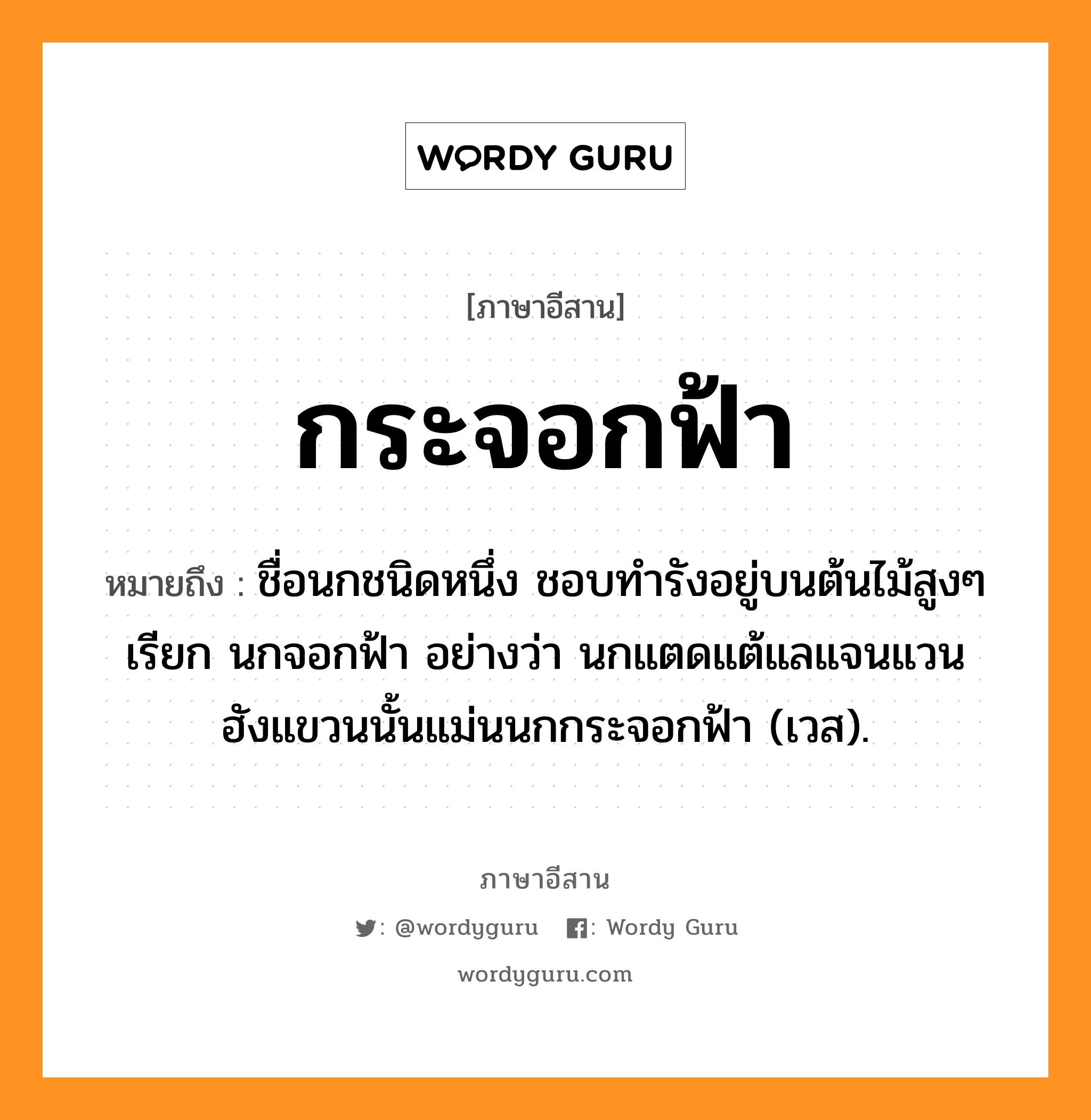 กระจอกฟ้า หมายถึงอะไร, ภาษาอีสาน กระจอกฟ้า หมายถึง ชื่อนกชนิดหนึ่ง ชอบทำรังอยู่บนต้นไม้สูงๆ เรียก นกจอกฟ้า อย่างว่า นกแตดแต้แลแจนแวน ฮังแขวนนั้นแม่นนกกระจอกฟ้า (เวส). หมวด กระ - จอก - ฟ้า