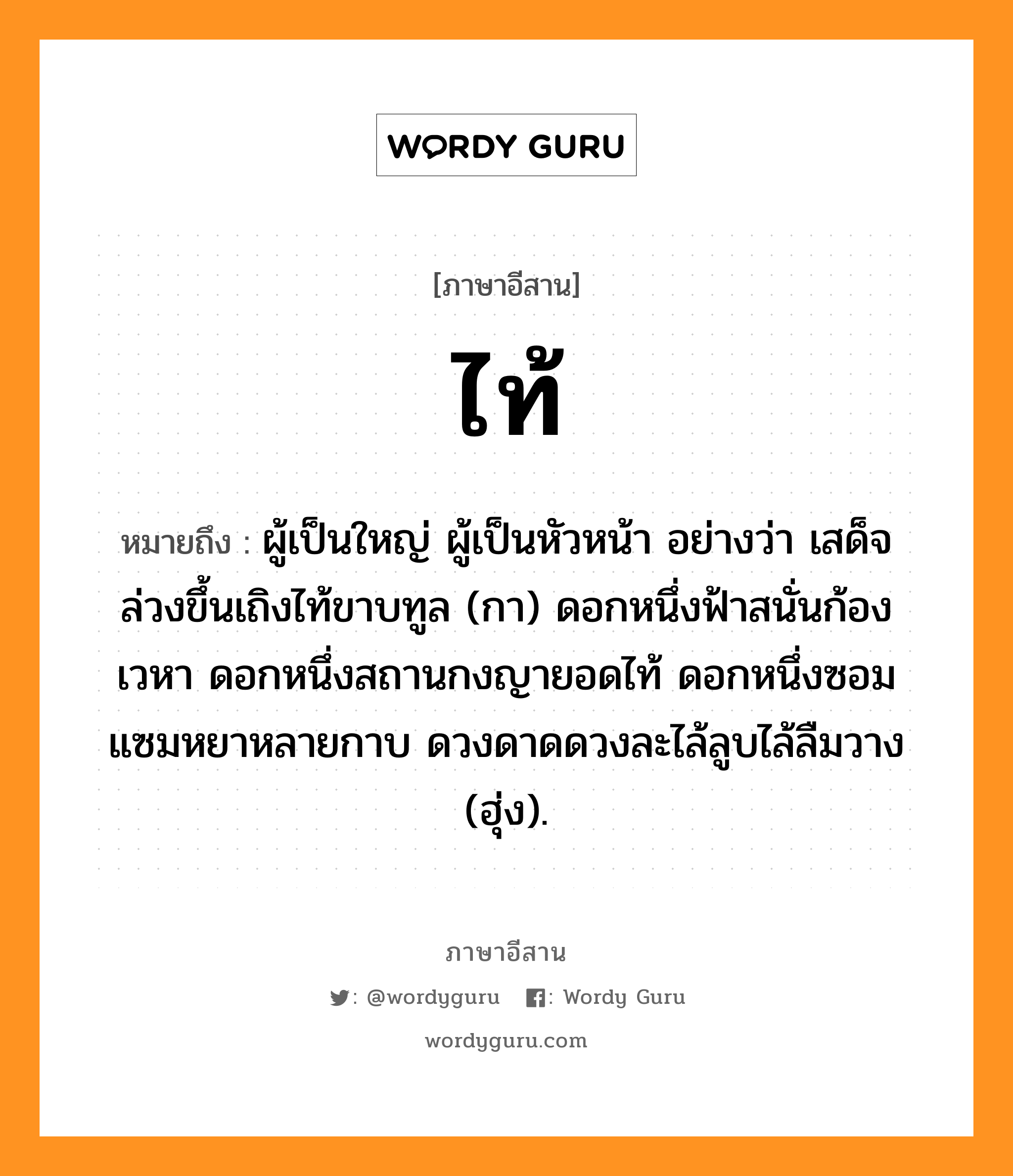 ไท้ หมายถึงอะไร, ภาษาอีสาน ไท้ หมายถึง ผู้เป็นใหญ่ ผู้เป็นหัวหน้า อย่างว่า เสด็จล่วงขึ้นเถิงไท้ขาบทูล (กา) ดอกหนึ่งฟ้าสนั่นก้องเวหา ดอกหนึ่งสถานกงญายอดไท้ ดอกหนึ่งซอมแซมหยาหลายกาบ ดวงดาดดวงละไล้ลูบไล้ลืมวาง (ฮุ่ง). หมวด ไท้