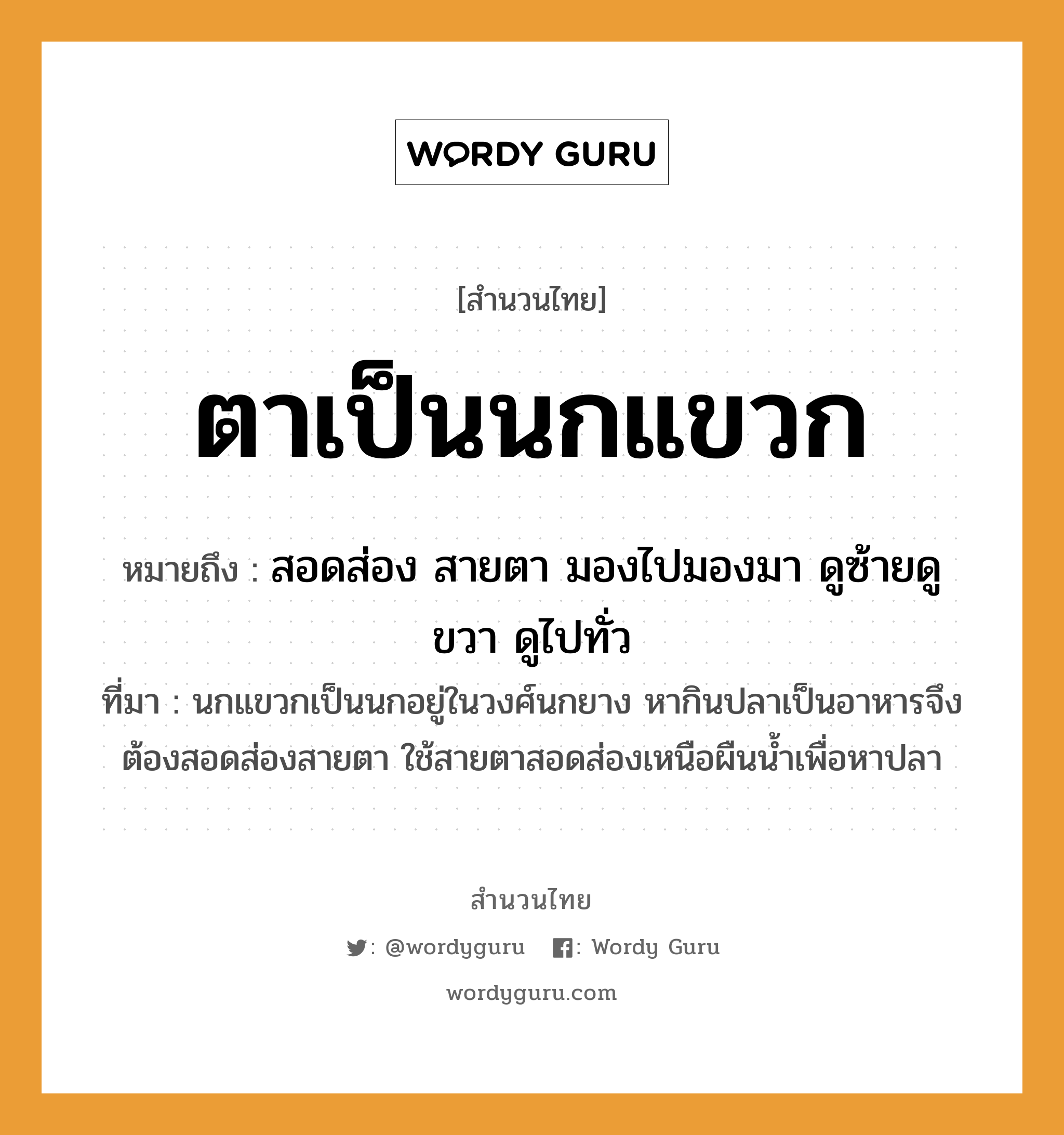 สำนวนไทย: ตาเป็นนกแขวก หมายถึง?, หมายถึง สอดส่อง สายตา มองไปมองมา ดูซ้ายดูขวา ดูไปทั่ว ที่มา นกแขวกเป็นนกอยู่ในวงศ์นกยาง หากินปลาเป็นอาหารจึงต้องสอดส่องสายตา ใช้สายตาสอดส่องเหนือผืนน้ำเพื่อหาปลา สัตว์ นก อวัยวะ ตา