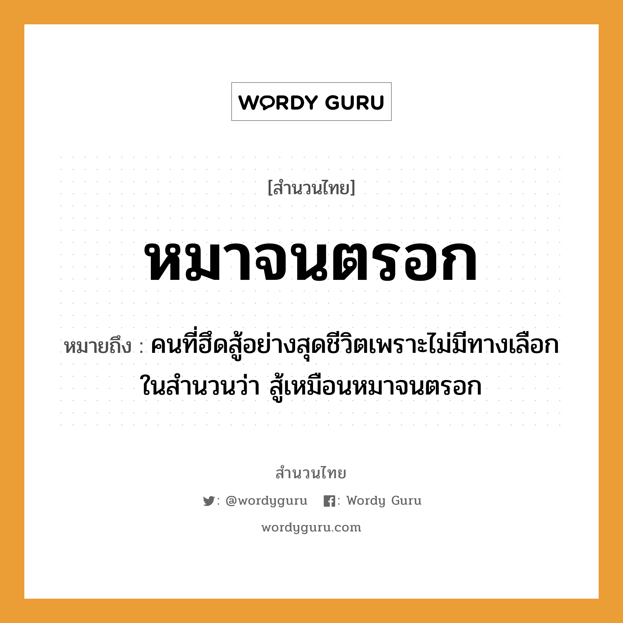 สำนวนไทย: หมาจนตรอก หมายถึง?, สํานวนไทย หมาจนตรอก หมายถึง คนที่ฮึดสู้อย่างสุดชีวิตเพราะไม่มีทางเลือก ในสำนวนว่า สู้เหมือนหมาจนตรอก คำนาม คน คำกริยา สู้