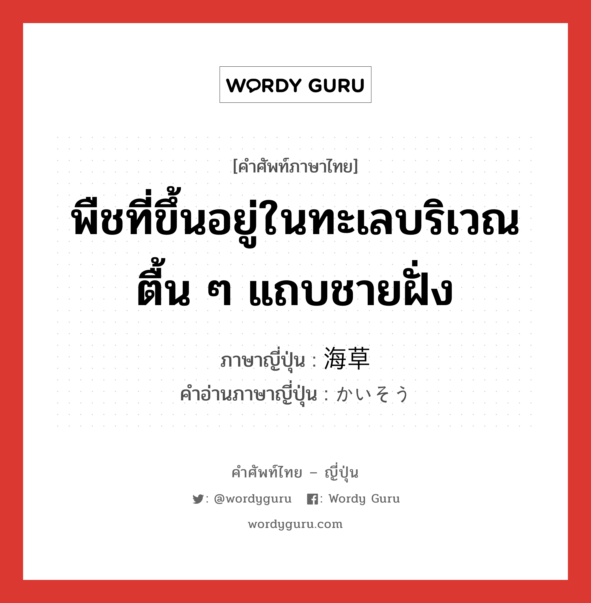 พืชที่ขึ้นอยู่ในทะเลบริเวณตื้น ๆ แถบชายฝั่ง ภาษาญี่ปุ่นคืออะไร, คำศัพท์ภาษาไทย - ญี่ปุ่น พืชที่ขึ้นอยู่ในทะเลบริเวณตื้น ๆ แถบชายฝั่ง ภาษาญี่ปุ่น 海草 คำอ่านภาษาญี่ปุ่น かいそう หมวด n หมวด n