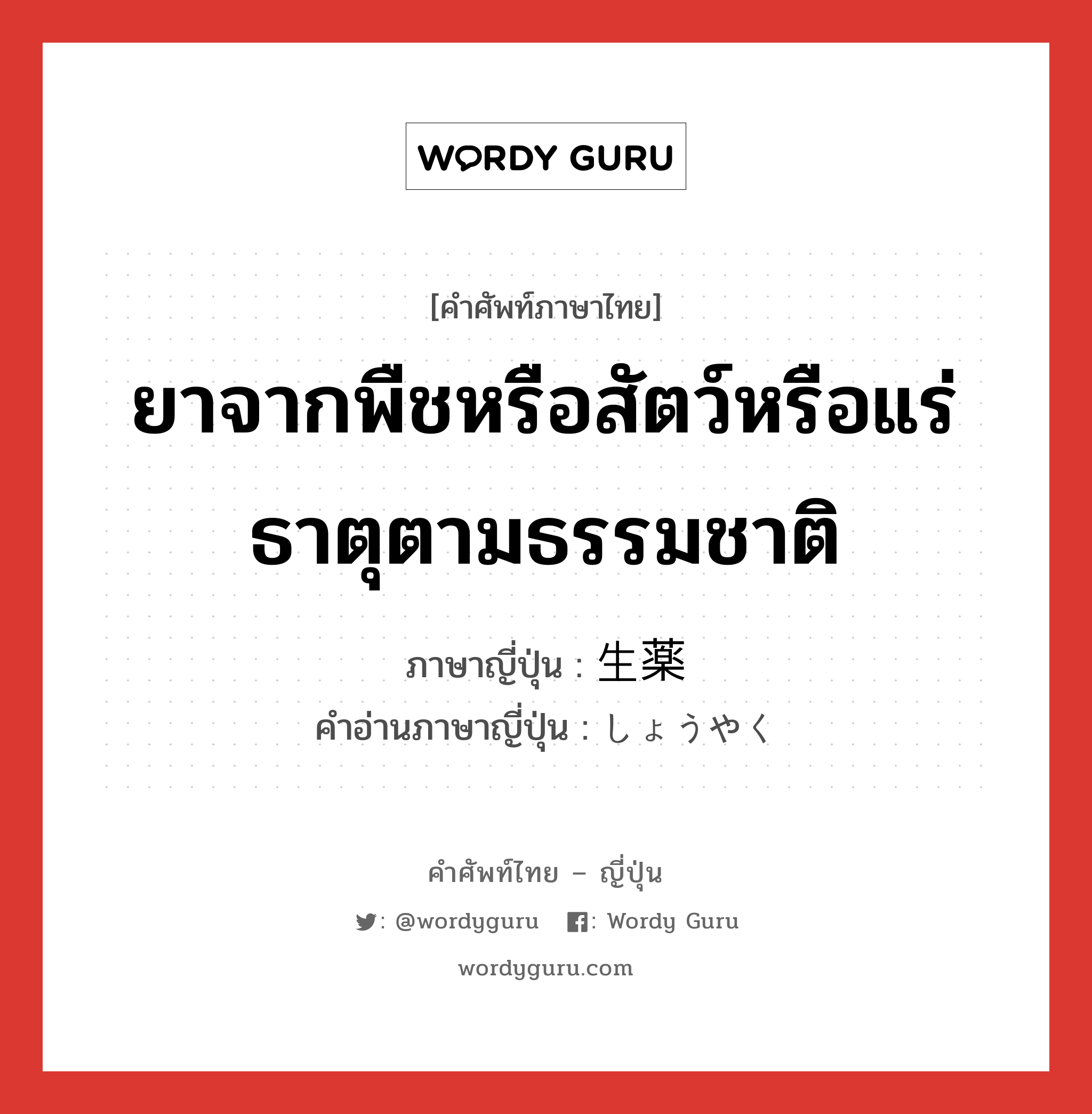 ยาจากพืชหรือสัตว์หรือแร่ธาตุตามธรรมชาติ ภาษาญี่ปุ่นคืออะไร, คำศัพท์ภาษาไทย - ญี่ปุ่น ยาจากพืชหรือสัตว์หรือแร่ธาตุตามธรรมชาติ ภาษาญี่ปุ่น 生薬 คำอ่านภาษาญี่ปุ่น しょうやく หมวด n หมวด n