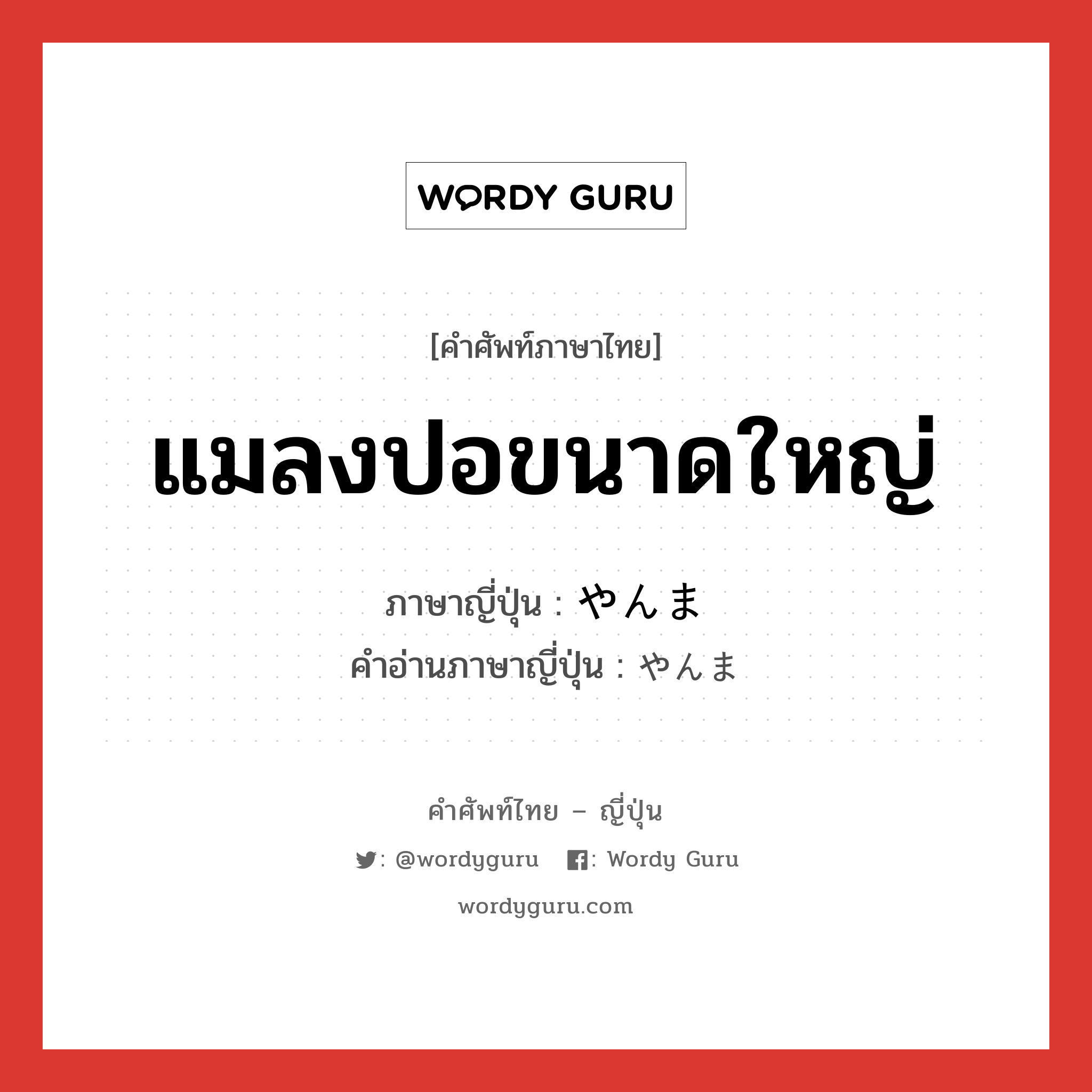 แมลงปอขนาดใหญ่ ภาษาญี่ปุ่นคืออะไร, คำศัพท์ภาษาไทย - ญี่ปุ่น แมลงปอขนาดใหญ่ ภาษาญี่ปุ่น やんま คำอ่านภาษาญี่ปุ่น やんま หมวด n หมวด n