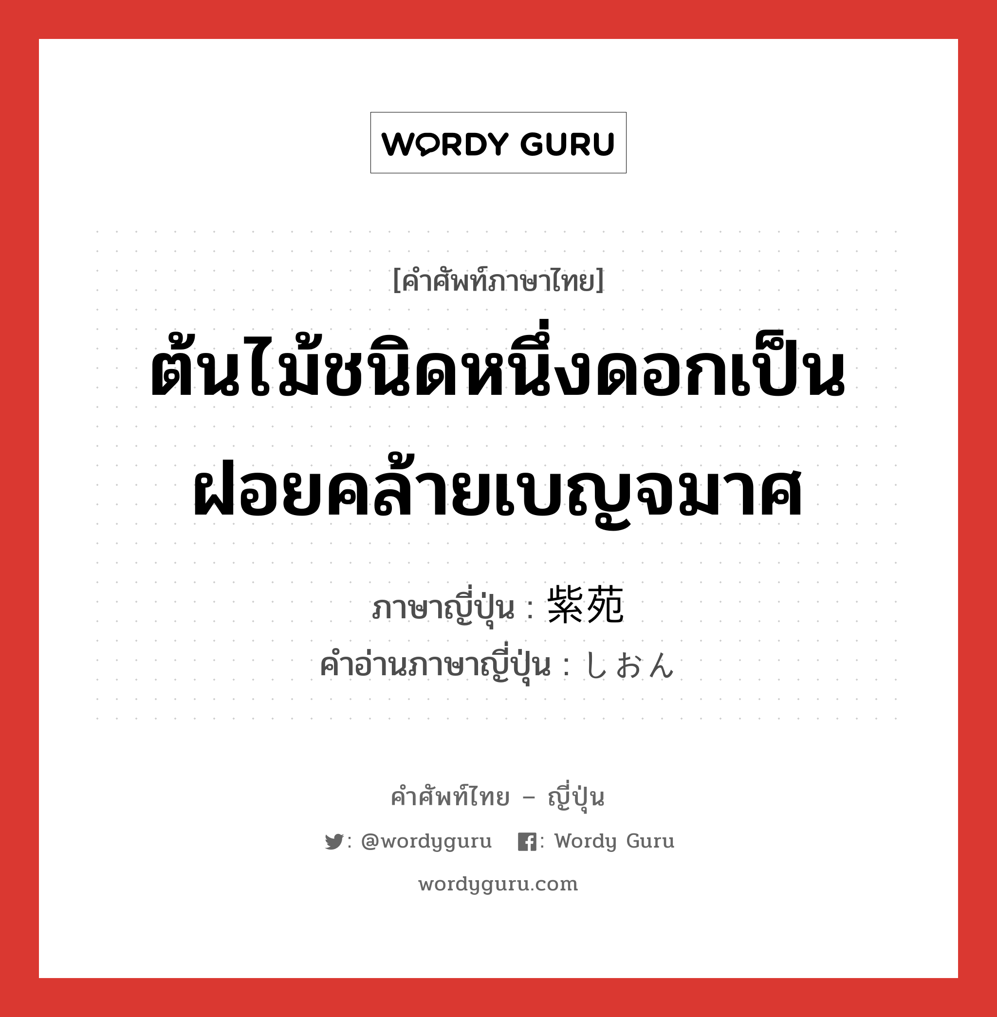 ต้นไม้ชนิดหนึ่งดอกเป็นฝอยคล้ายเบญจมาศ ภาษาญี่ปุ่นคืออะไร, คำศัพท์ภาษาไทย - ญี่ปุ่น ต้นไม้ชนิดหนึ่งดอกเป็นฝอยคล้ายเบญจมาศ ภาษาญี่ปุ่น 紫苑 คำอ่านภาษาญี่ปุ่น しおん หมวด n หมวด n