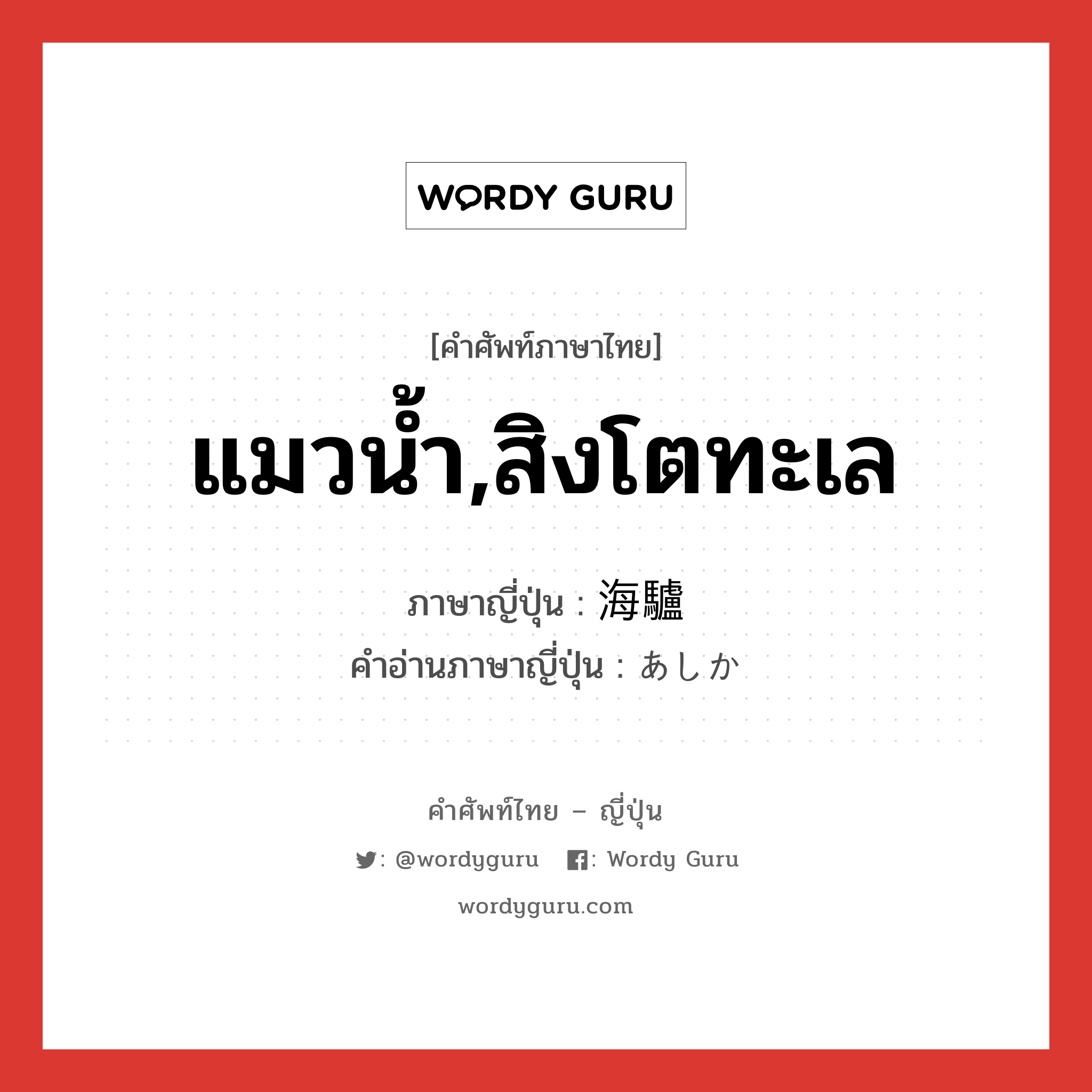 แมวน้ำ,สิงโตทะเล ภาษาญี่ปุ่นคืออะไร, คำศัพท์ภาษาไทย - ญี่ปุ่น แมวน้ำ,สิงโตทะเล ภาษาญี่ปุ่น 海驢 คำอ่านภาษาญี่ปุ่น あしか หมวด n หมวด n