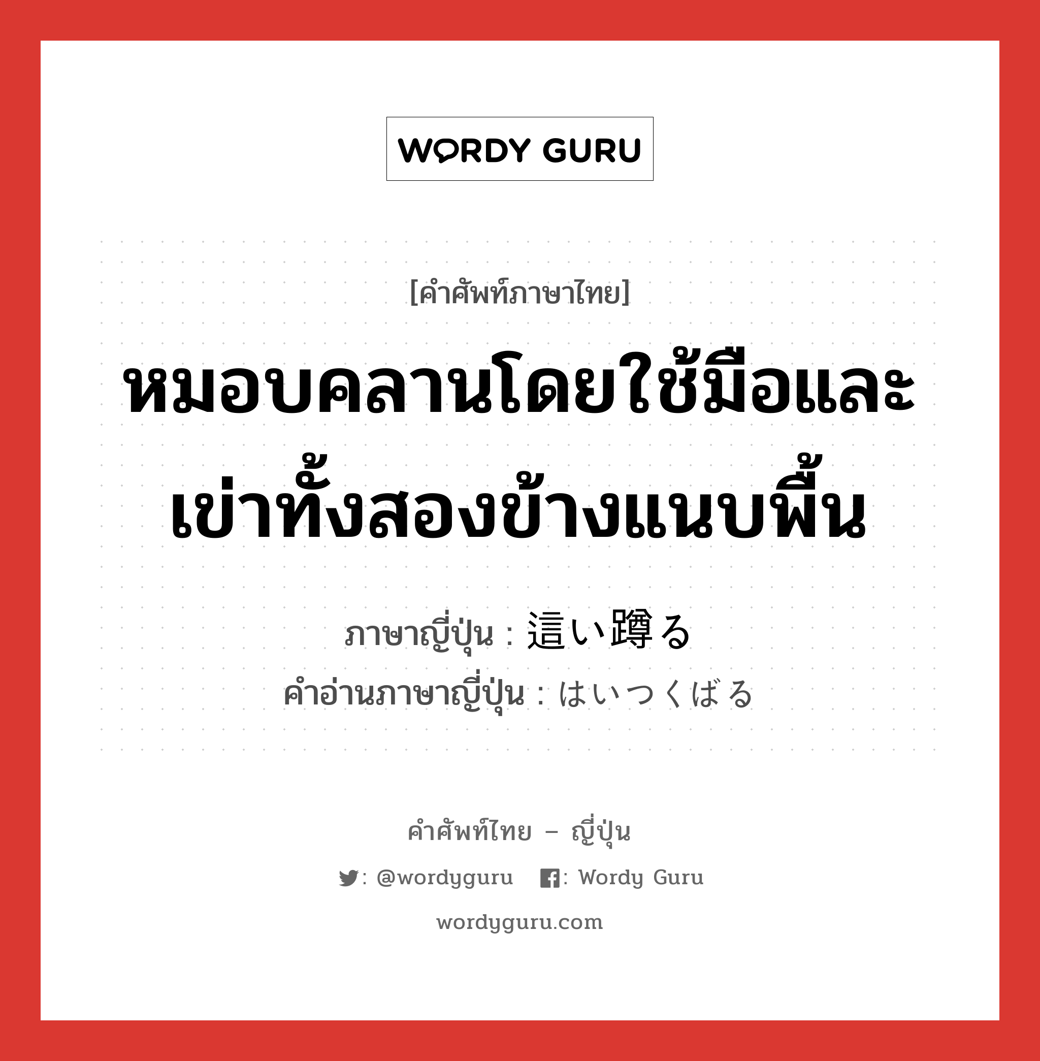 หมอบคลานโดยใช้มือและเข่าทั้งสองข้างแนบพื้น ภาษาญี่ปุ่นคืออะไร, คำศัพท์ภาษาไทย - ญี่ปุ่น หมอบคลานโดยใช้มือและเข่าทั้งสองข้างแนบพื้น ภาษาญี่ปุ่น 這い蹲る คำอ่านภาษาญี่ปุ่น はいつくばる หมวด v5r หมวด v5r