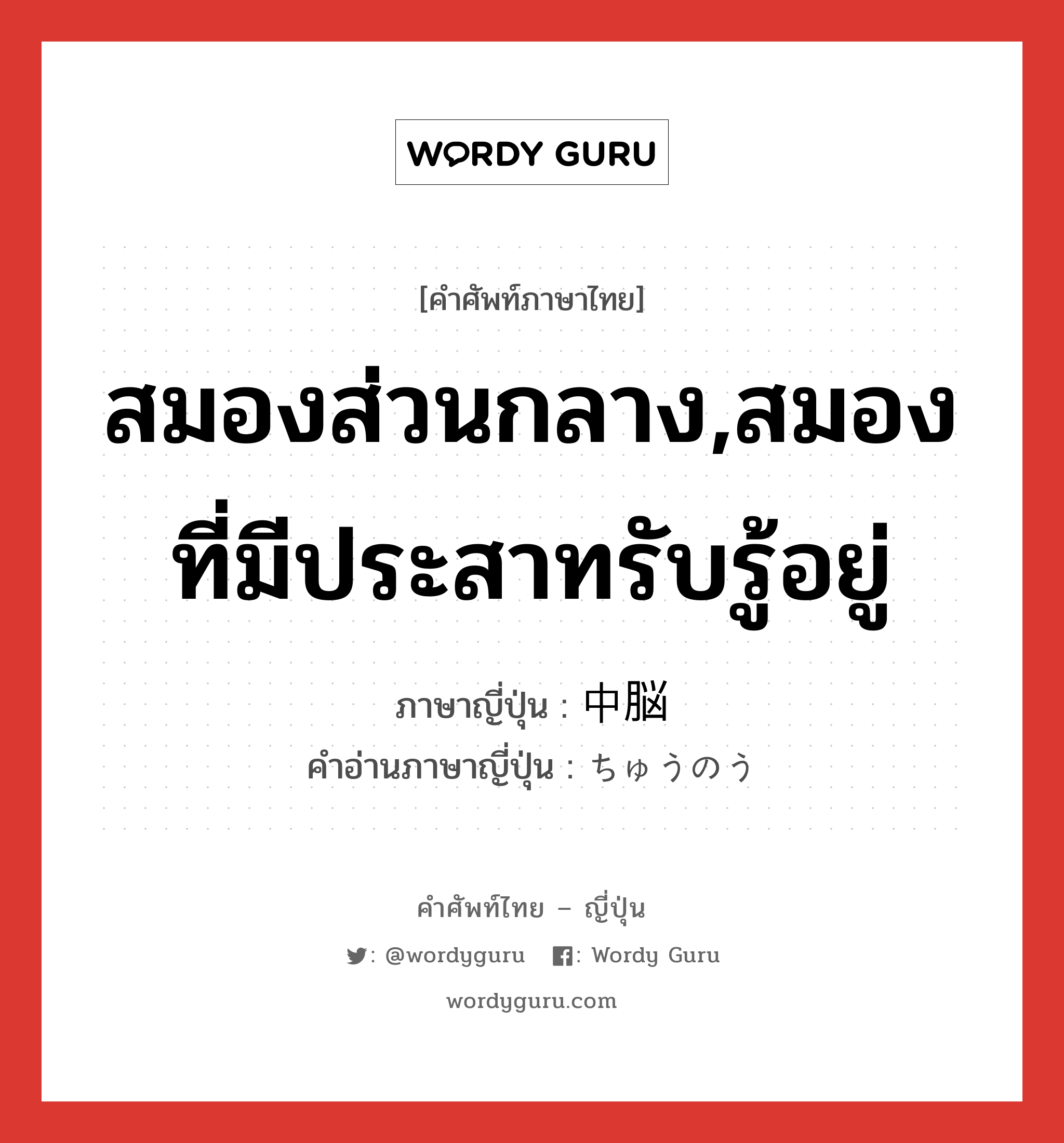 สมองส่วนกลาง,สมองที่มีประสาทรับรู้อยู่ ภาษาญี่ปุ่นคืออะไร, คำศัพท์ภาษาไทย - ญี่ปุ่น สมองส่วนกลาง,สมองที่มีประสาทรับรู้อยู่ ภาษาญี่ปุ่น 中脳 คำอ่านภาษาญี่ปุ่น ちゅうのう หมวด n หมวด n