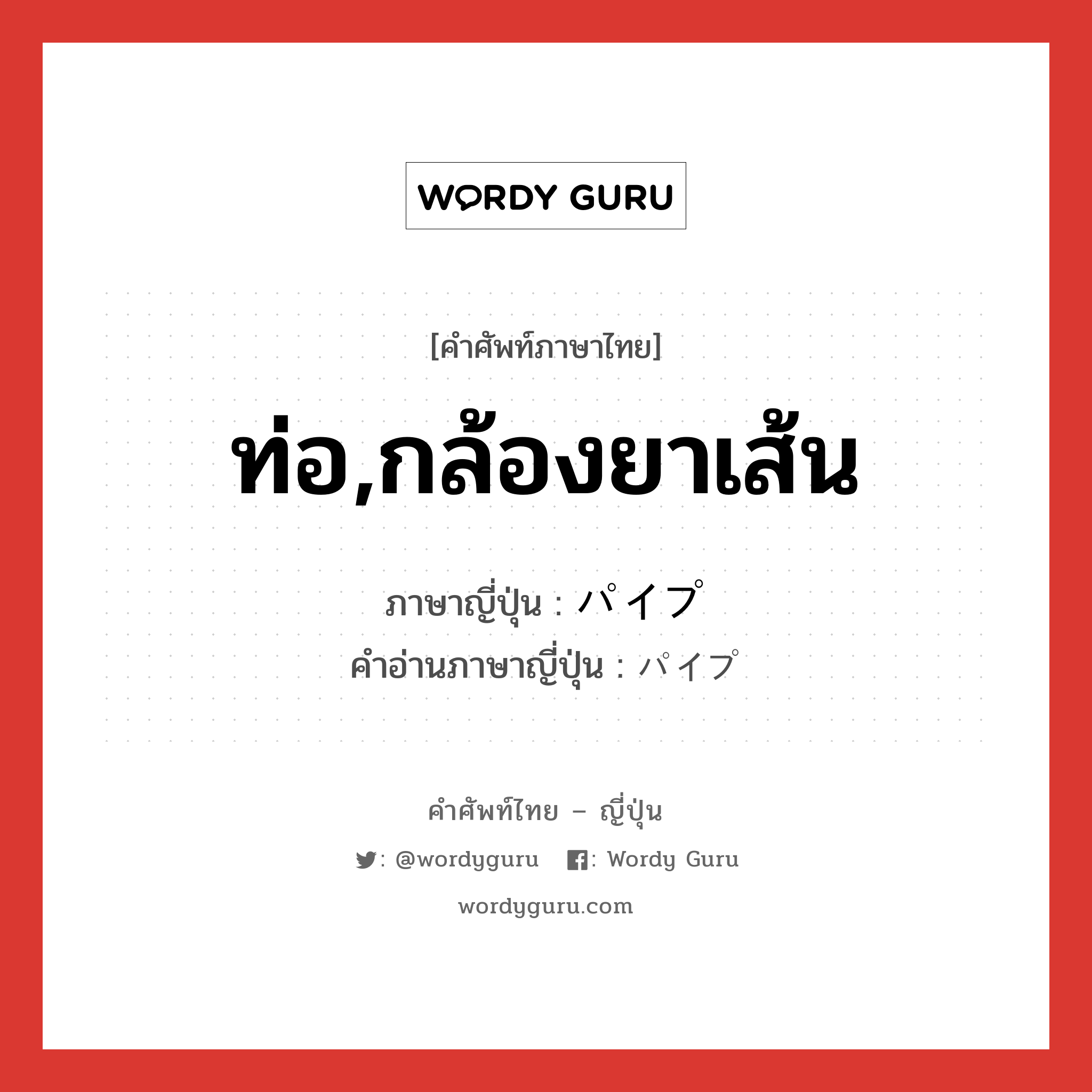 ท่อ,กล้องยาเส้น ภาษาญี่ปุ่นคืออะไร, คำศัพท์ภาษาไทย - ญี่ปุ่น ท่อ,กล้องยาเส้น ภาษาญี่ปุ่น パイプ คำอ่านภาษาญี่ปุ่น パイプ หมวด n หมวด n