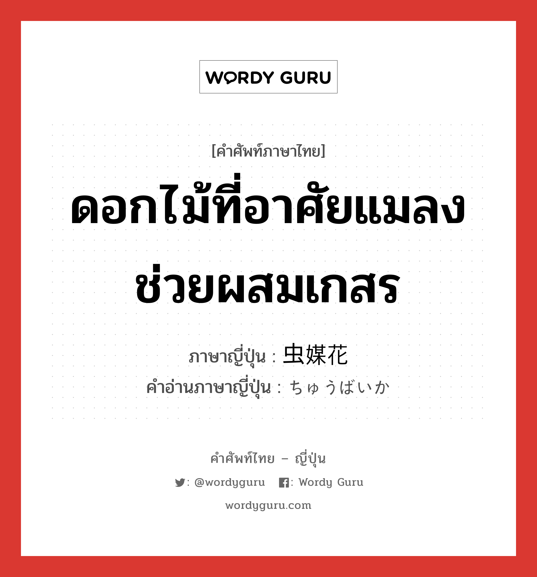 ดอกไม้ที่อาศัยแมลงช่วยผสมเกสร ภาษาญี่ปุ่นคืออะไร, คำศัพท์ภาษาไทย - ญี่ปุ่น ดอกไม้ที่อาศัยแมลงช่วยผสมเกสร ภาษาญี่ปุ่น 虫媒花 คำอ่านภาษาญี่ปุ่น ちゅうばいか หมวด n หมวด n