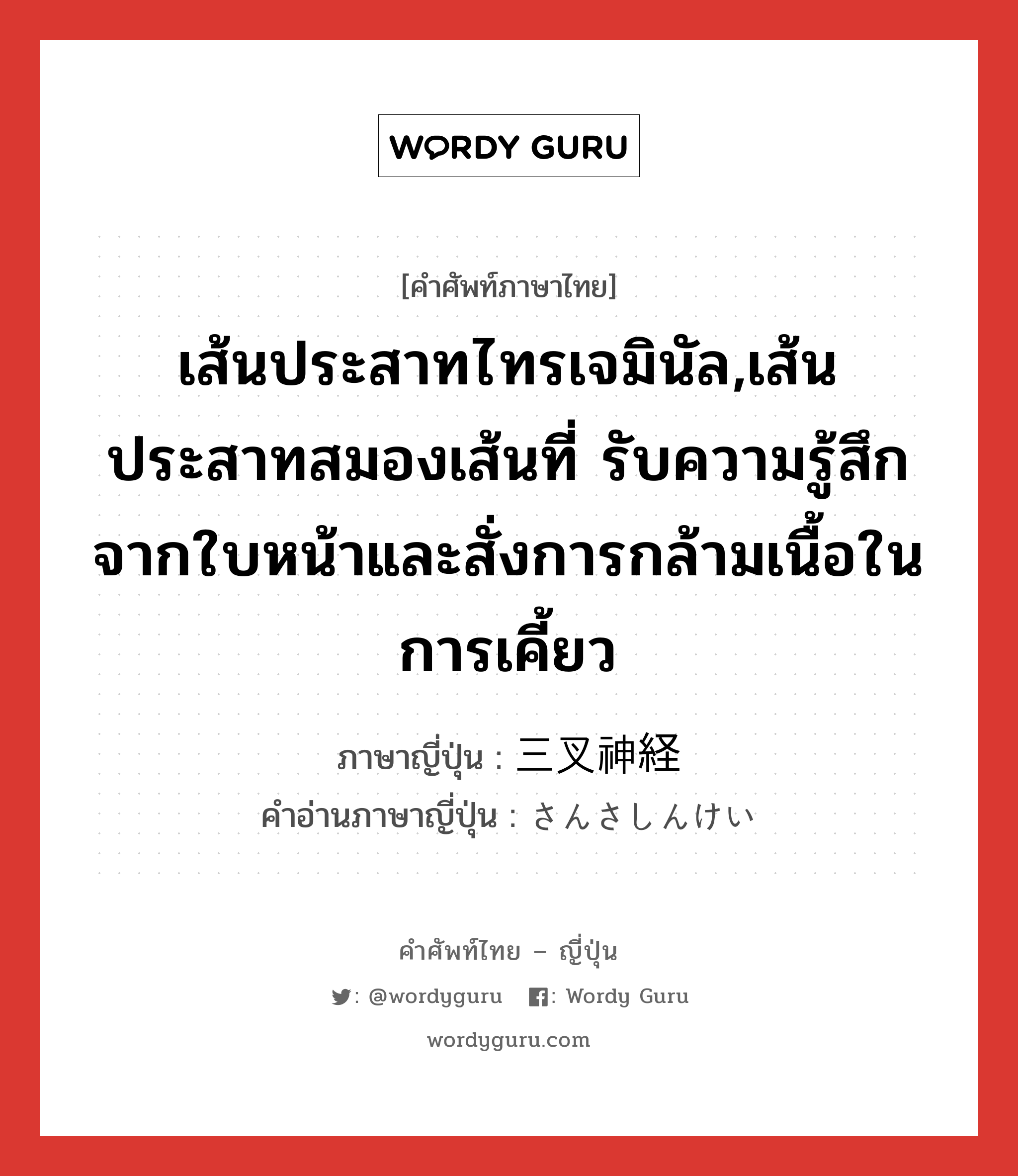 เส้นประสาทไทรเจมินัล,เส้นประสาทสมองเส้นที่ รับความรู้สึกจากใบหน้าและสั่งการกล้ามเนื้อในการเคี้ยว ภาษาญี่ปุ่นคืออะไร, คำศัพท์ภาษาไทย - ญี่ปุ่น เส้นประสาทไทรเจมินัล,เส้นประสาทสมองเส้นที่ รับความรู้สึกจากใบหน้าและสั่งการกล้ามเนื้อในการเคี้ยว ภาษาญี่ปุ่น 三叉神経 คำอ่านภาษาญี่ปุ่น さんさしんけい หมวด n หมวด n