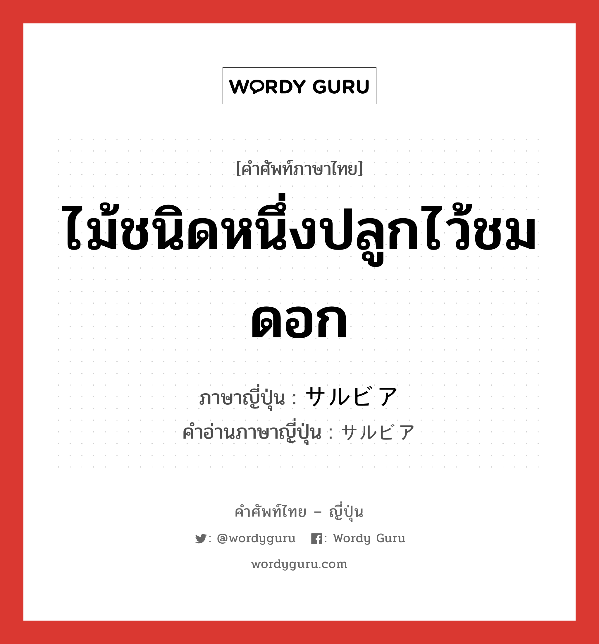 ไม้ชนิดหนึ่งปลูกไว้ชมดอก ภาษาญี่ปุ่นคืออะไร, คำศัพท์ภาษาไทย - ญี่ปุ่น ไม้ชนิดหนึ่งปลูกไว้ชมดอก ภาษาญี่ปุ่น サルビア คำอ่านภาษาญี่ปุ่น サルビア หมวด n หมวด n