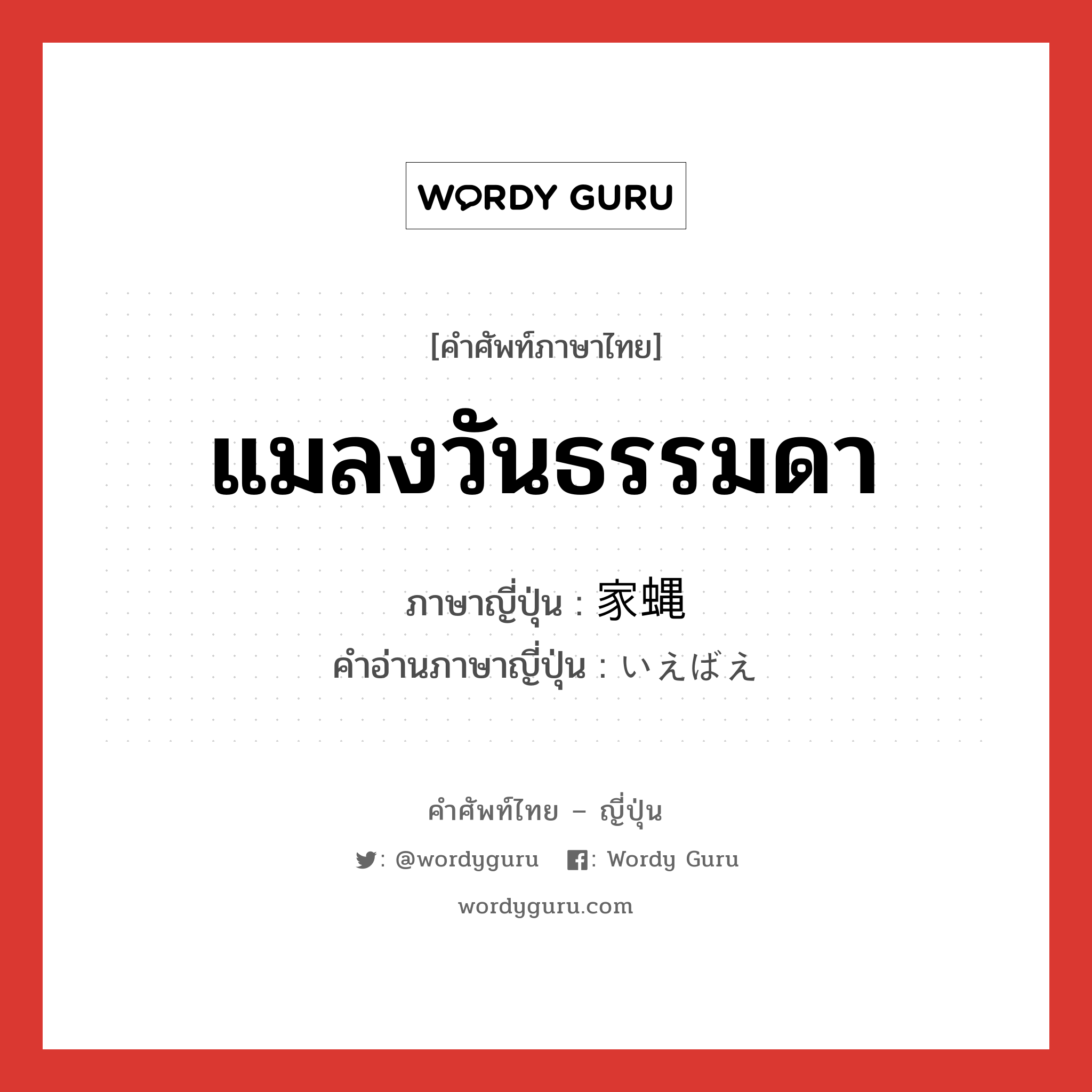 แมลงวันธรรมดา ภาษาญี่ปุ่นคืออะไร, คำศัพท์ภาษาไทย - ญี่ปุ่น แมลงวันธรรมดา ภาษาญี่ปุ่น 家蝿 คำอ่านภาษาญี่ปุ่น いえばえ หมวด n หมวด n