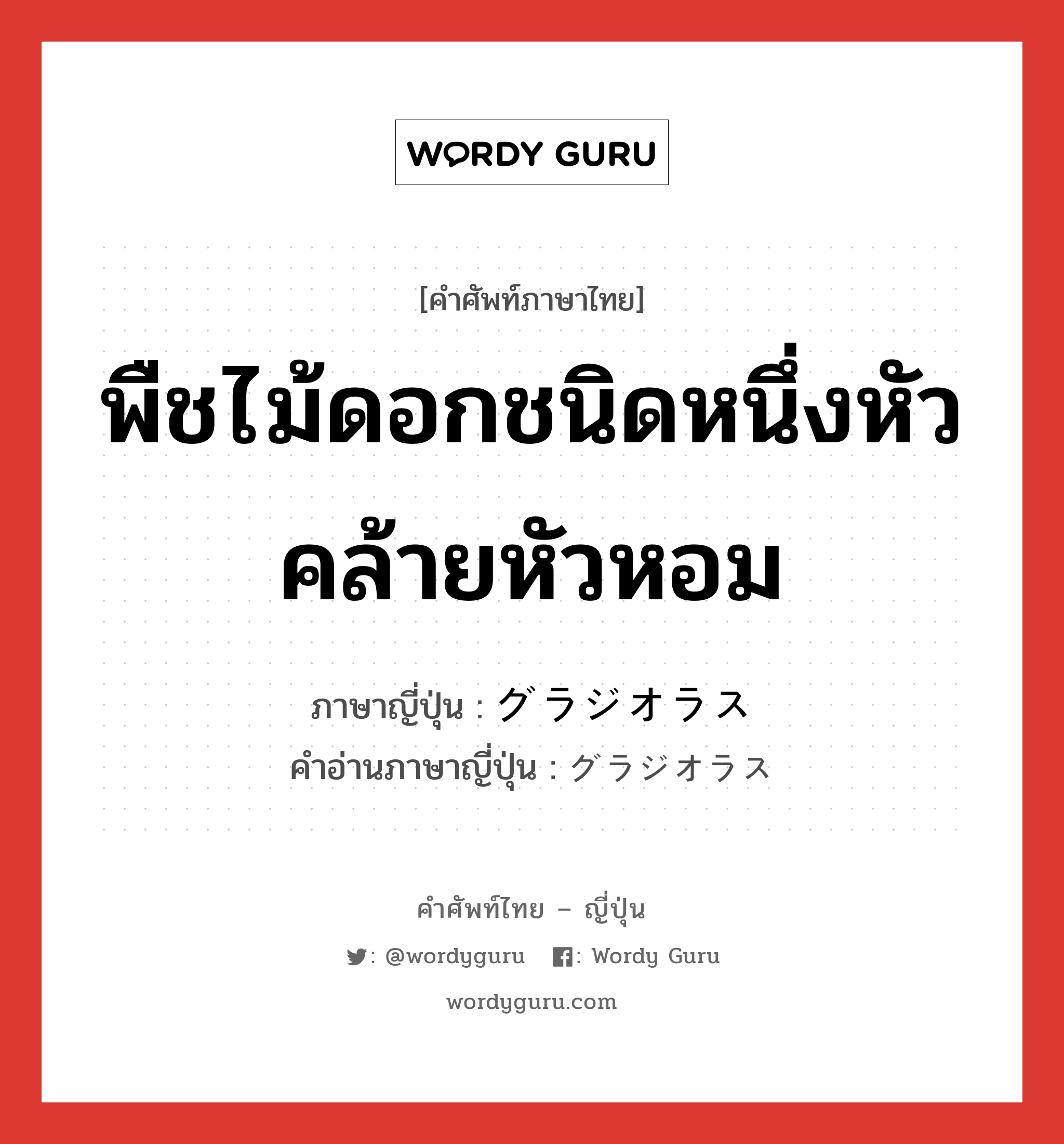 พืชไม้ดอกชนิดหนึ่งหัวคล้ายหัวหอม ภาษาญี่ปุ่นคืออะไร, คำศัพท์ภาษาไทย - ญี่ปุ่น พืชไม้ดอกชนิดหนึ่งหัวคล้ายหัวหอม ภาษาญี่ปุ่น グラジオラス คำอ่านภาษาญี่ปุ่น グラジオラス หมวด n หมวด n