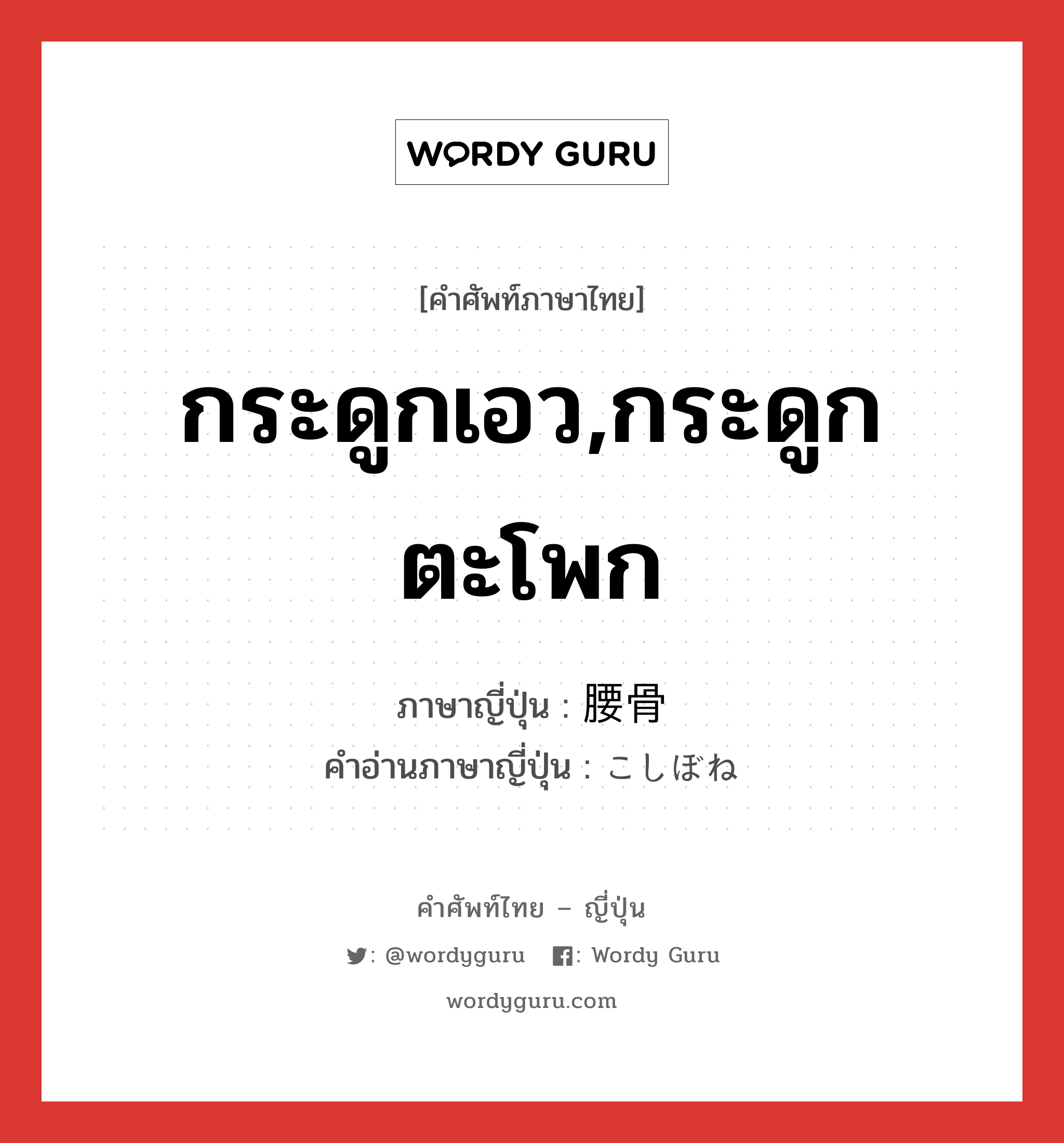 กระดูกเอว,กระดูกตะโพก ภาษาญี่ปุ่นคืออะไร, คำศัพท์ภาษาไทย - ญี่ปุ่น กระดูกเอว,กระดูกตะโพก ภาษาญี่ปุ่น 腰骨 คำอ่านภาษาญี่ปุ่น こしぼね หมวด n หมวด n