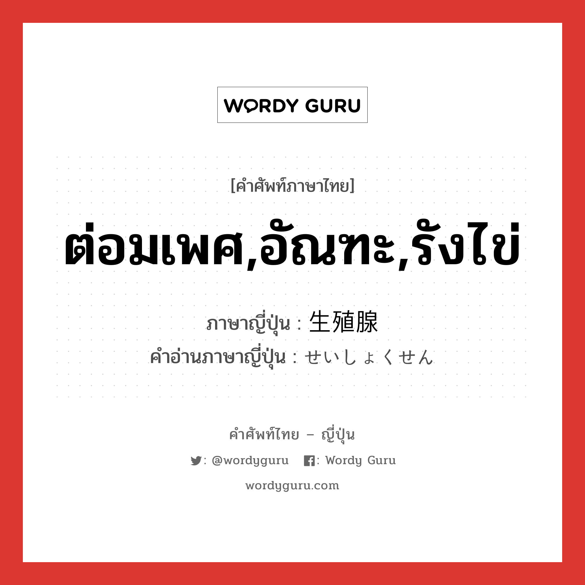 ต่อมเพศ,อัณฑะ,รังไข่ ภาษาญี่ปุ่นคืออะไร, คำศัพท์ภาษาไทย - ญี่ปุ่น ต่อมเพศ,อัณฑะ,รังไข่ ภาษาญี่ปุ่น 生殖腺 คำอ่านภาษาญี่ปุ่น せいしょくせん หมวด n หมวด n