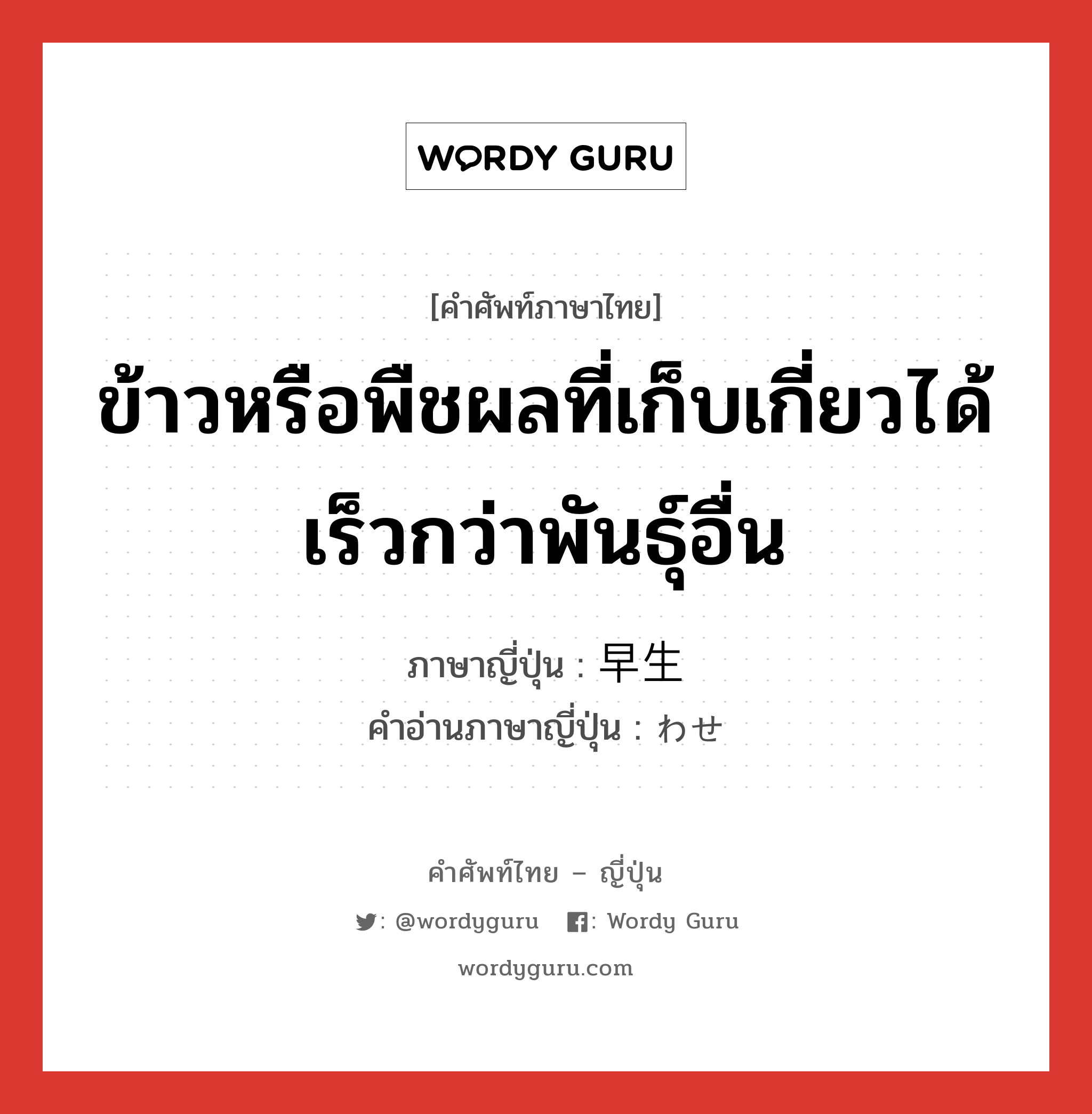 ข้าวหรือพืชผลที่เก็บเกี่ยวได้เร็วกว่าพันธุ์อื่น ภาษาญี่ปุ่นคืออะไร, คำศัพท์ภาษาไทย - ญี่ปุ่น ข้าวหรือพืชผลที่เก็บเกี่ยวได้เร็วกว่าพันธุ์อื่น ภาษาญี่ปุ่น 早生 คำอ่านภาษาญี่ปุ่น わせ หมวด n หมวด n