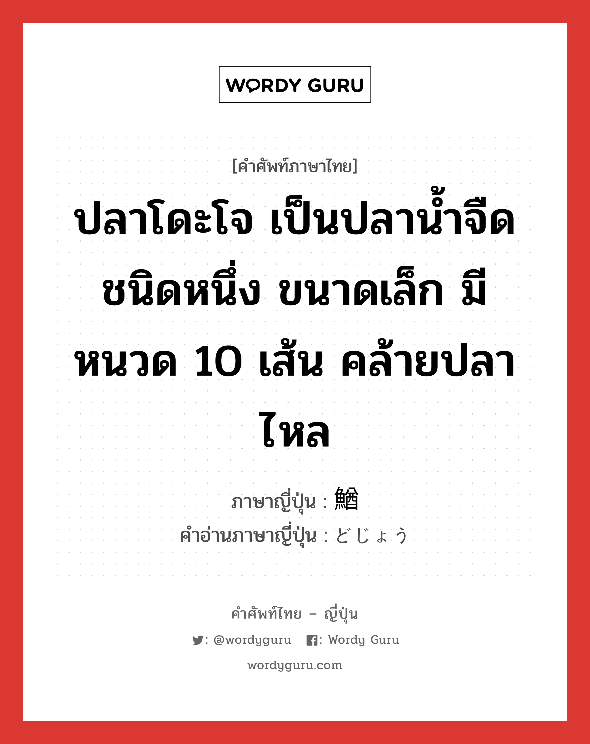 ปลาโดะโจ เป็นปลาน้ำจืดชนิดหนึ่ง ขนาดเล็ก มีหนวด 10 เส้น คล้ายปลาไหล ภาษาญี่ปุ่นคืออะไร, คำศัพท์ภาษาไทย - ญี่ปุ่น ปลาโดะโจ เป็นปลาน้ำจืดชนิดหนึ่ง ขนาดเล็ก มีหนวด 10 เส้น คล้ายปลาไหล ภาษาญี่ปุ่น 鰌 คำอ่านภาษาญี่ปุ่น どじょう หมวด n หมวด n