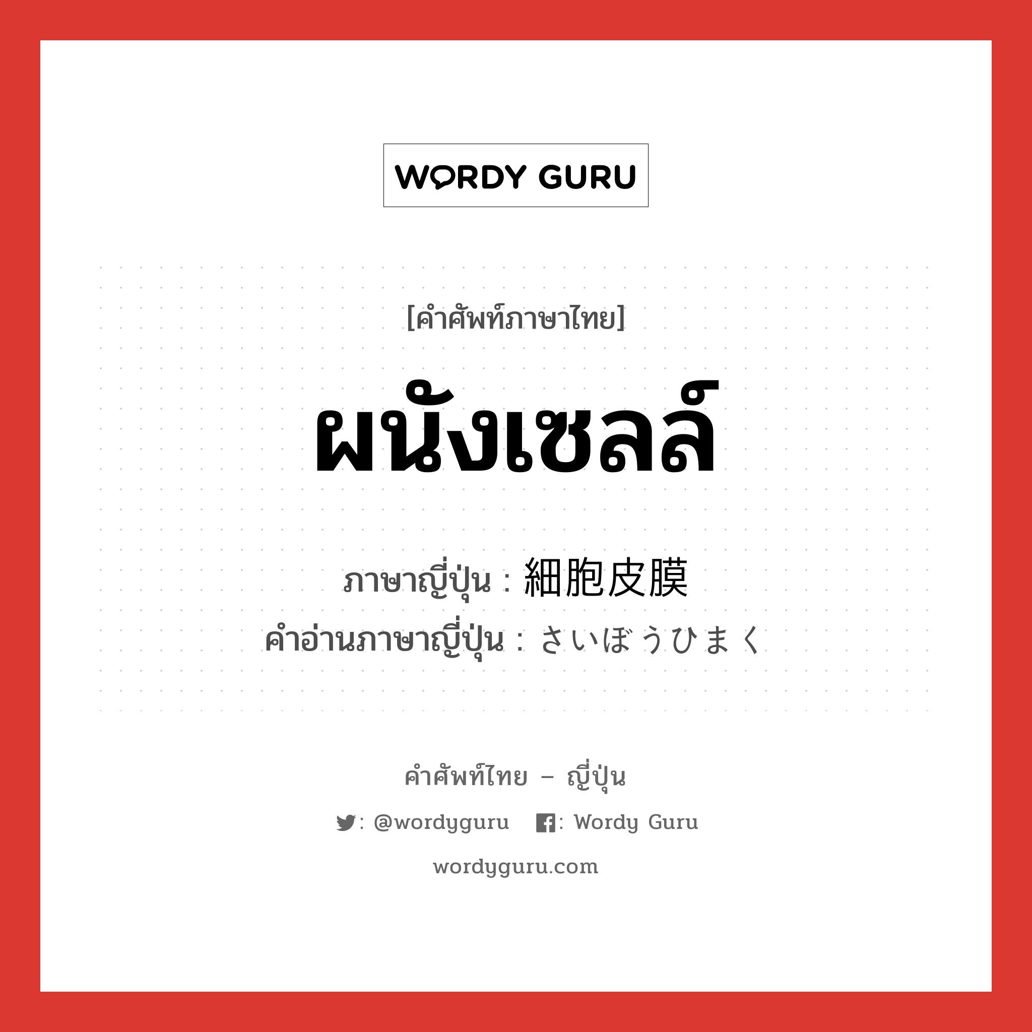 ผนังเซลล์ ภาษาญี่ปุ่นคืออะไร, คำศัพท์ภาษาไทย - ญี่ปุ่น ผนังเซลล์ ภาษาญี่ปุ่น 細胞皮膜 คำอ่านภาษาญี่ปุ่น さいぼうひまく หมวด n หมวด n