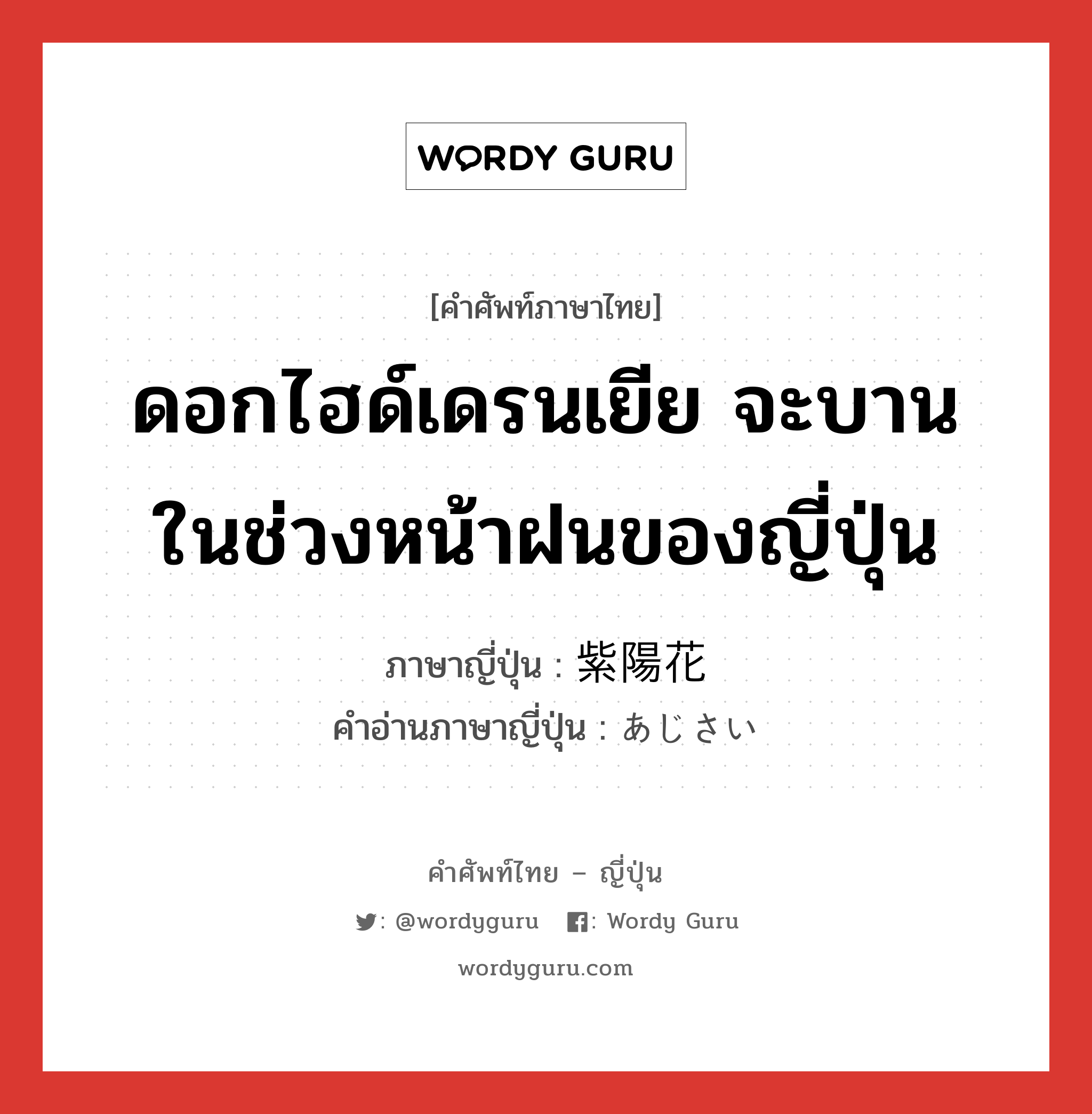 ดอกไฮด์เดรนเยีย จะบานในช่วงหน้าฝนของญี่ปุ่น ภาษาญี่ปุ่นคืออะไร, คำศัพท์ภาษาไทย - ญี่ปุ่น ดอกไฮด์เดรนเยีย จะบานในช่วงหน้าฝนของญี่ปุ่น ภาษาญี่ปุ่น 紫陽花 คำอ่านภาษาญี่ปุ่น あじさい หมวด n หมวด n