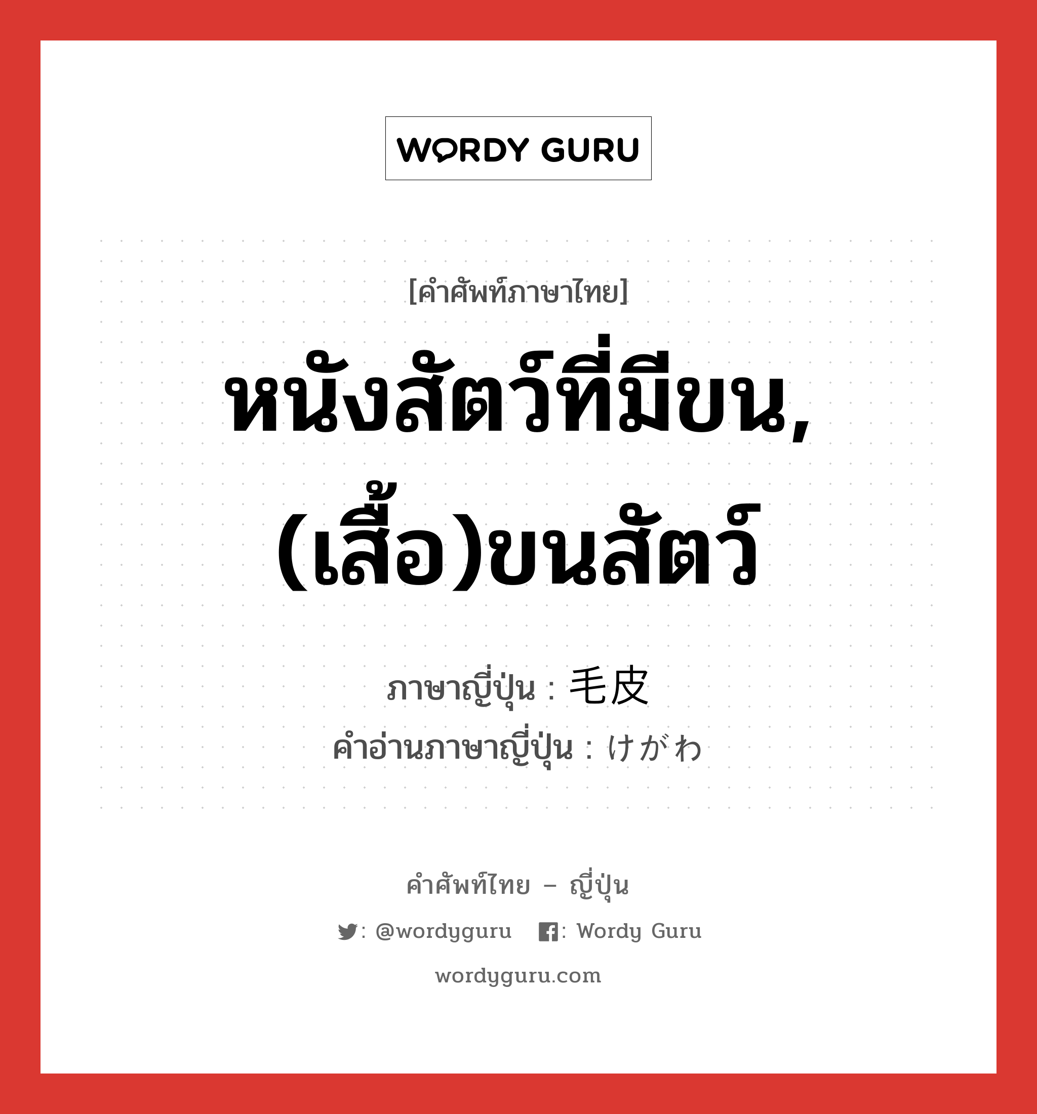 หนังสัตว์ที่มีขน,(เสื้อ)ขนสัตว์ ภาษาญี่ปุ่นคืออะไร, คำศัพท์ภาษาไทย - ญี่ปุ่น หนังสัตว์ที่มีขน,(เสื้อ)ขนสัตว์ ภาษาญี่ปุ่น 毛皮 คำอ่านภาษาญี่ปุ่น けがわ หมวด n หมวด n