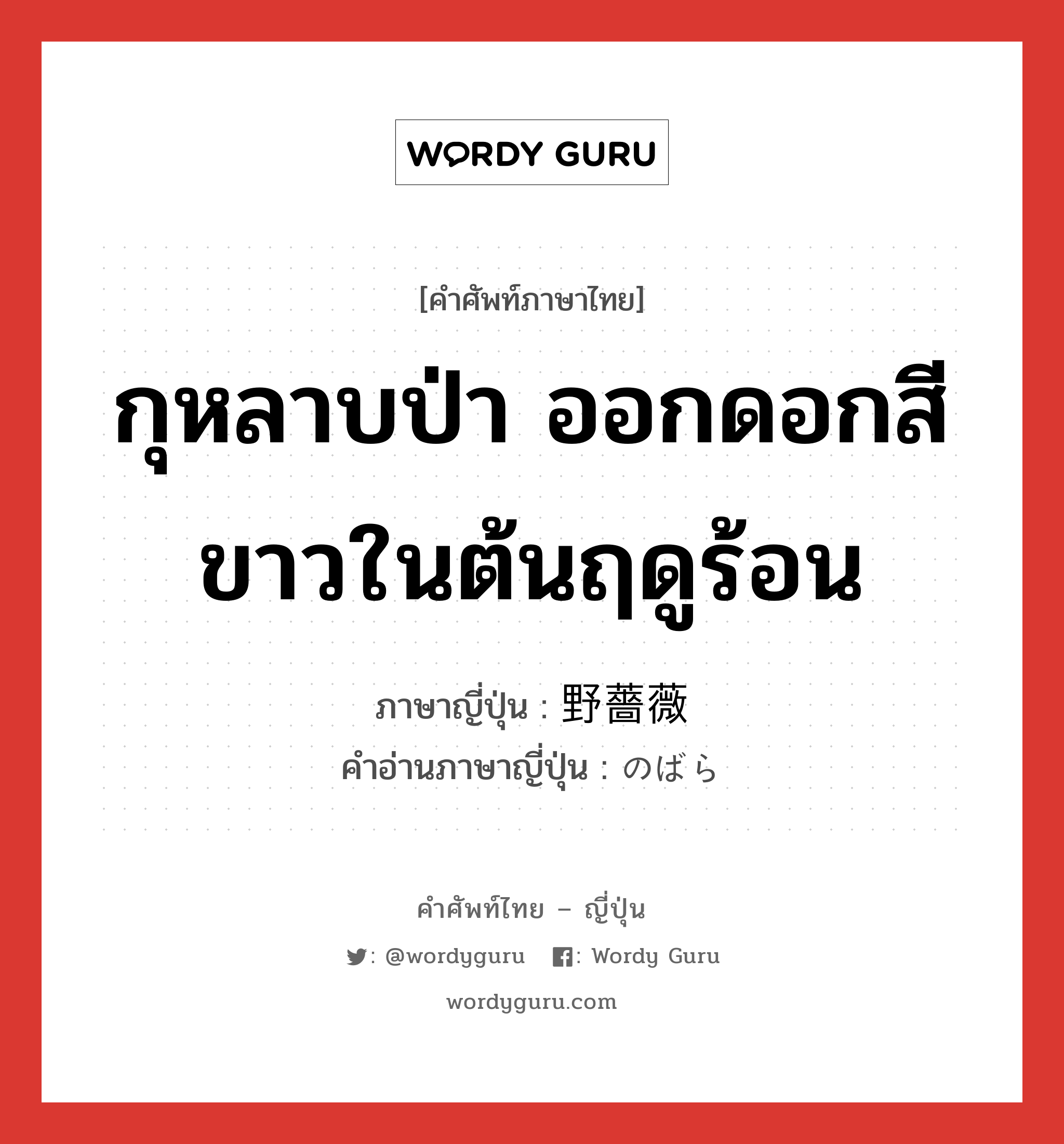 กุหลาบป่า ออกดอกสีขาวในต้นฤดูร้อน ภาษาญี่ปุ่นคืออะไร, คำศัพท์ภาษาไทย - ญี่ปุ่น กุหลาบป่า ออกดอกสีขาวในต้นฤดูร้อน ภาษาญี่ปุ่น 野薔薇 คำอ่านภาษาญี่ปุ่น のばら หมวด n หมวด n