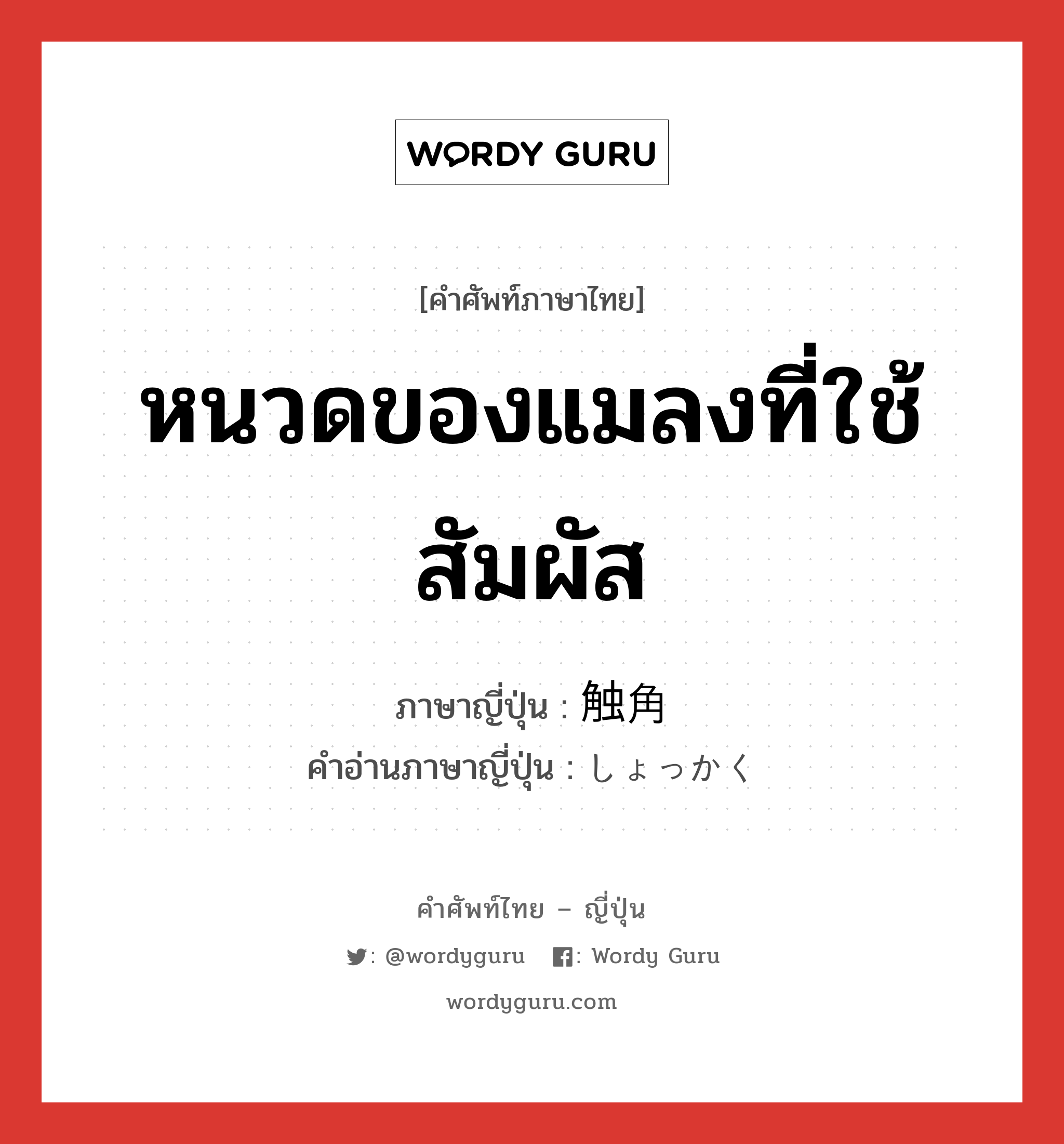 หนวดของแมลงที่ใช้สัมผัส ภาษาญี่ปุ่นคืออะไร, คำศัพท์ภาษาไทย - ญี่ปุ่น หนวดของแมลงที่ใช้สัมผัส ภาษาญี่ปุ่น 触角 คำอ่านภาษาญี่ปุ่น しょっかく หมวด n หมวด n