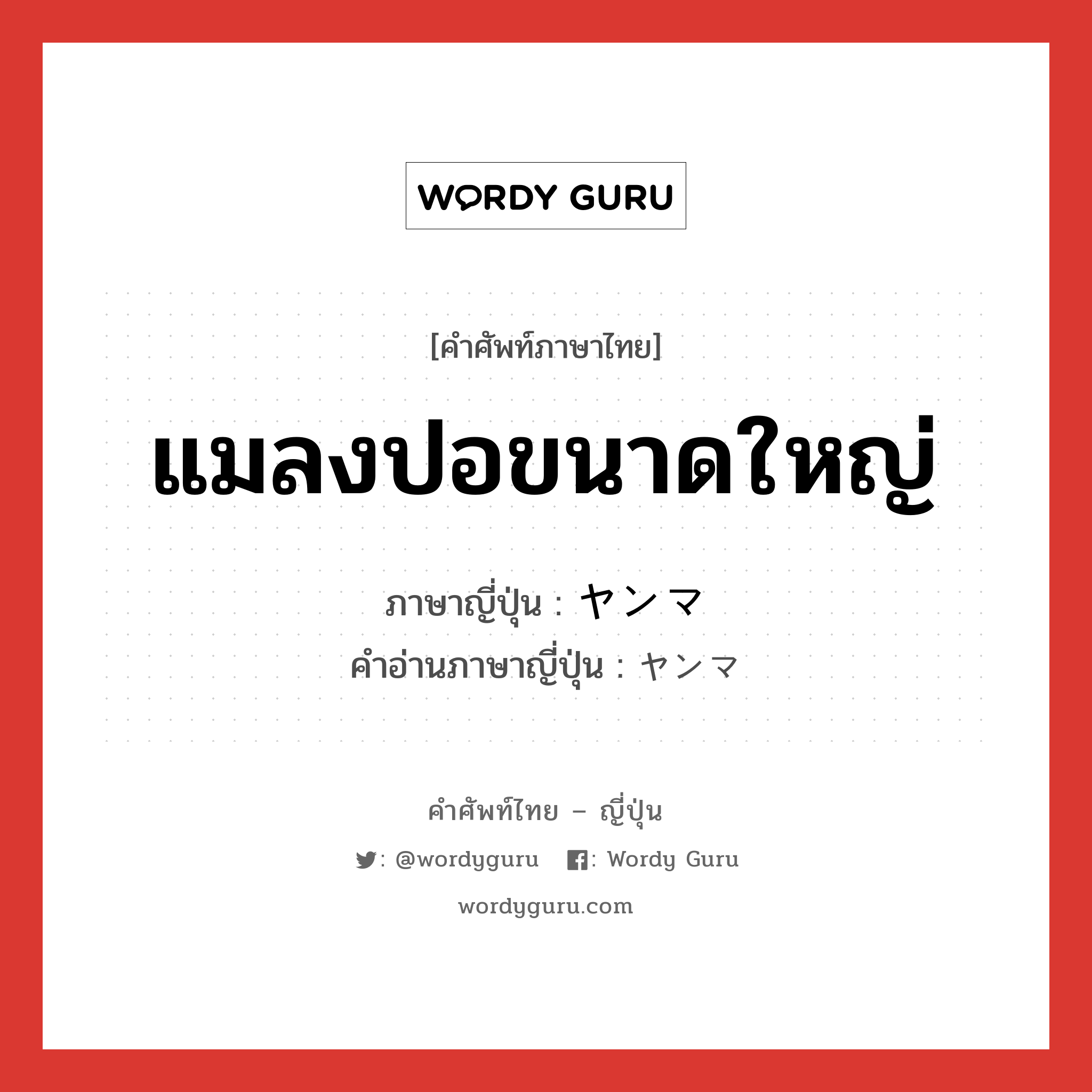 แมลงปอขนาดใหญ่ ภาษาญี่ปุ่นคืออะไร, คำศัพท์ภาษาไทย - ญี่ปุ่น แมลงปอขนาดใหญ่ ภาษาญี่ปุ่น ヤンマ คำอ่านภาษาญี่ปุ่น ヤンマ หมวด n หมวด n