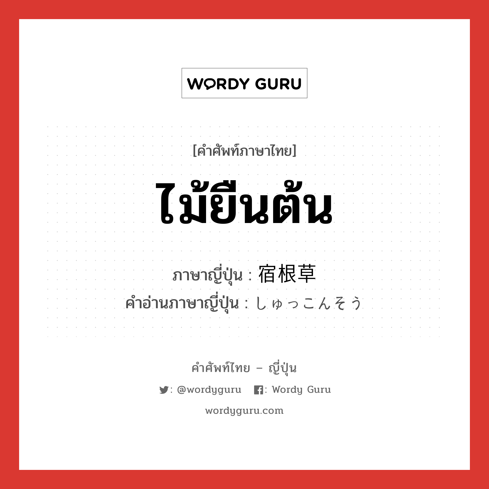 ไม้ยืนต้น ภาษาญี่ปุ่นคืออะไร, คำศัพท์ภาษาไทย - ญี่ปุ่น ไม้ยืนต้น ภาษาญี่ปุ่น 宿根草 คำอ่านภาษาญี่ปุ่น しゅっこんそう หมวด n หมวด n