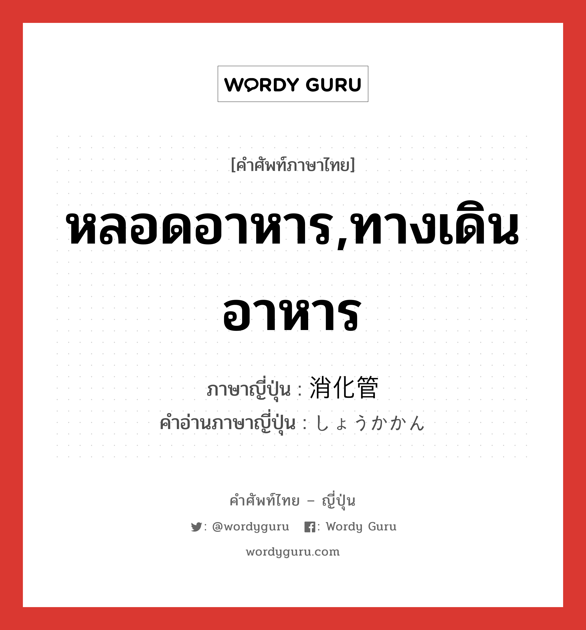 หลอดอาหาร,ทางเดินอาหาร ภาษาญี่ปุ่นคืออะไร, คำศัพท์ภาษาไทย - ญี่ปุ่น หลอดอาหาร,ทางเดินอาหาร ภาษาญี่ปุ่น 消化管 คำอ่านภาษาญี่ปุ่น しょうかかん หมวด n หมวด n