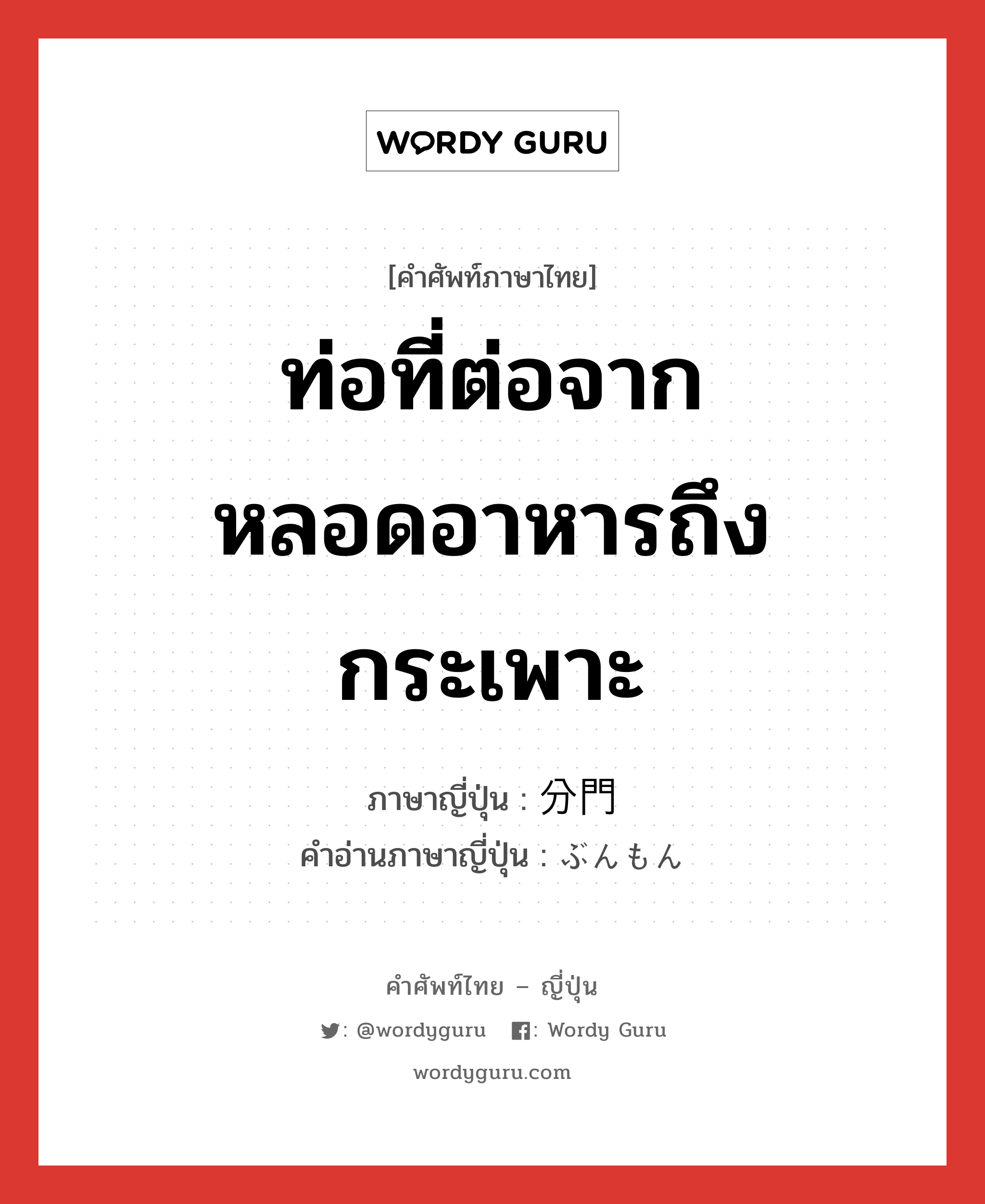 ท่อที่ต่อจากหลอดอาหารถึงกระเพาะ ภาษาญี่ปุ่นคืออะไร, คำศัพท์ภาษาไทย - ญี่ปุ่น ท่อที่ต่อจากหลอดอาหารถึงกระเพาะ ภาษาญี่ปุ่น 分門 คำอ่านภาษาญี่ปุ่น ぶんもん หมวด n หมวด n