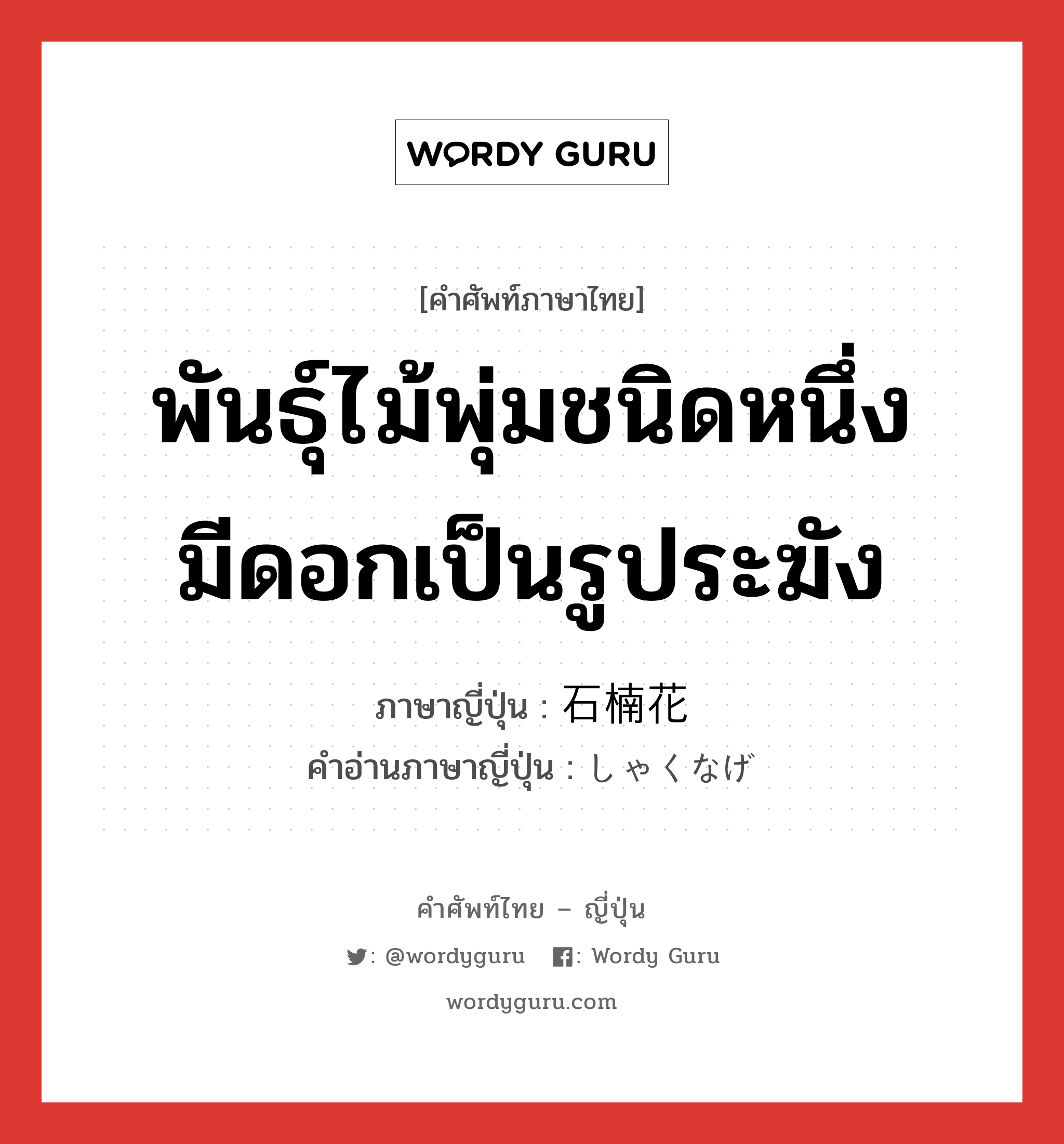 พันธุ์ไม้พุ่มชนิดหนึ่งมีดอกเป็นรูประฆัง ภาษาญี่ปุ่นคืออะไร, คำศัพท์ภาษาไทย - ญี่ปุ่น พันธุ์ไม้พุ่มชนิดหนึ่งมีดอกเป็นรูประฆัง ภาษาญี่ปุ่น 石楠花 คำอ่านภาษาญี่ปุ่น しゃくなげ หมวด n หมวด n