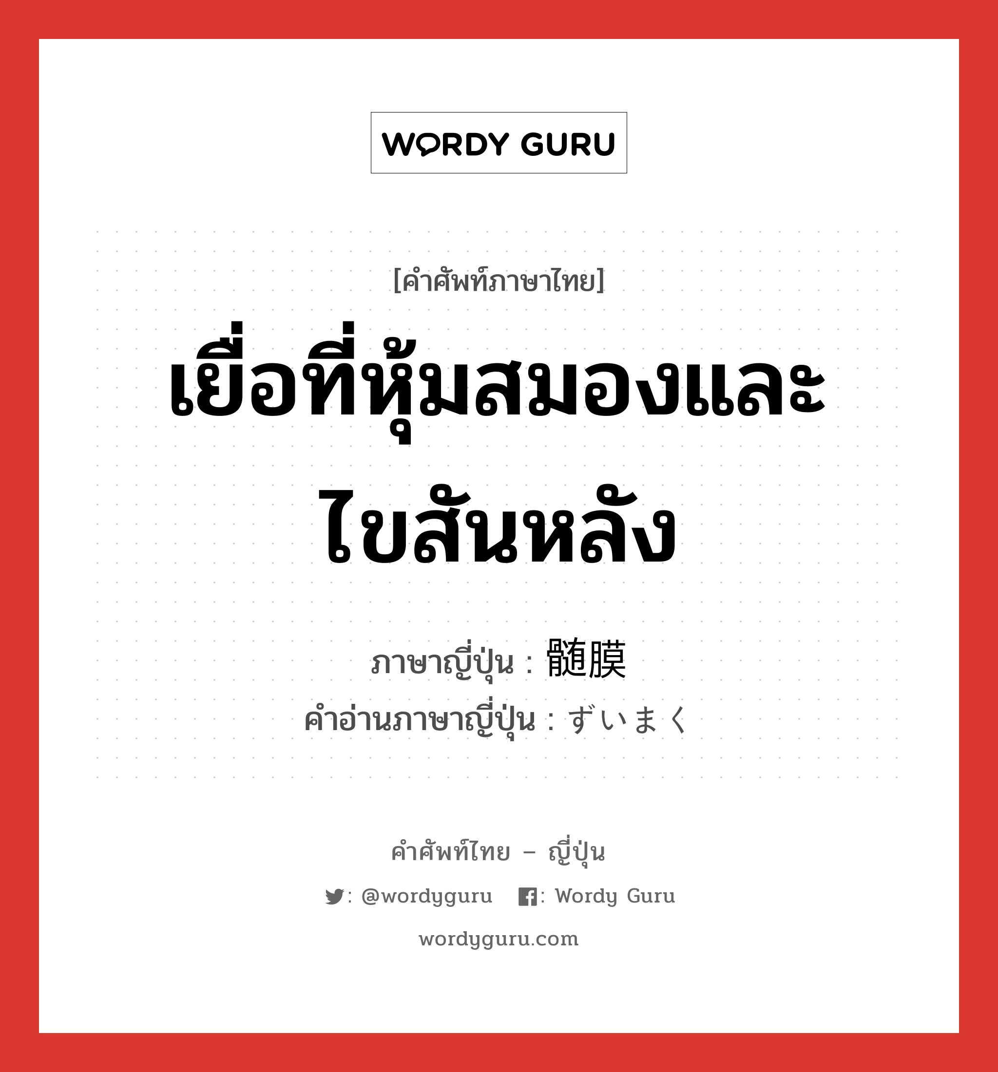 เยื่อที่หุ้มสมองและไขสันหลัง ภาษาญี่ปุ่นคืออะไร, คำศัพท์ภาษาไทย - ญี่ปุ่น เยื่อที่หุ้มสมองและไขสันหลัง ภาษาญี่ปุ่น 髄膜 คำอ่านภาษาญี่ปุ่น ずいまく หมวด n หมวด n