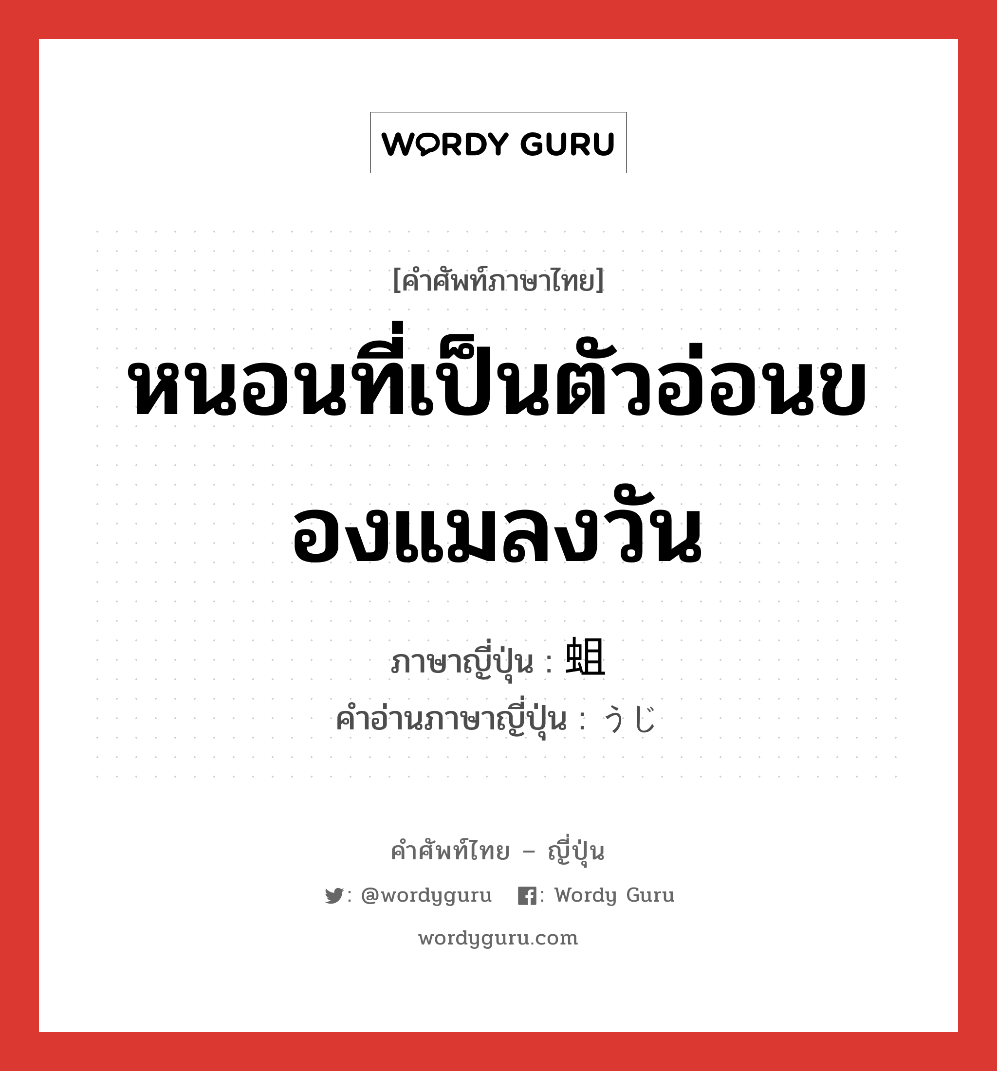 หนอนที่เป็นตัวอ่อนของแมลงวัน ภาษาญี่ปุ่นคืออะไร, คำศัพท์ภาษาไทย - ญี่ปุ่น หนอนที่เป็นตัวอ่อนของแมลงวัน ภาษาญี่ปุ่น 蛆 คำอ่านภาษาญี่ปุ่น うじ หมวด n หมวด n