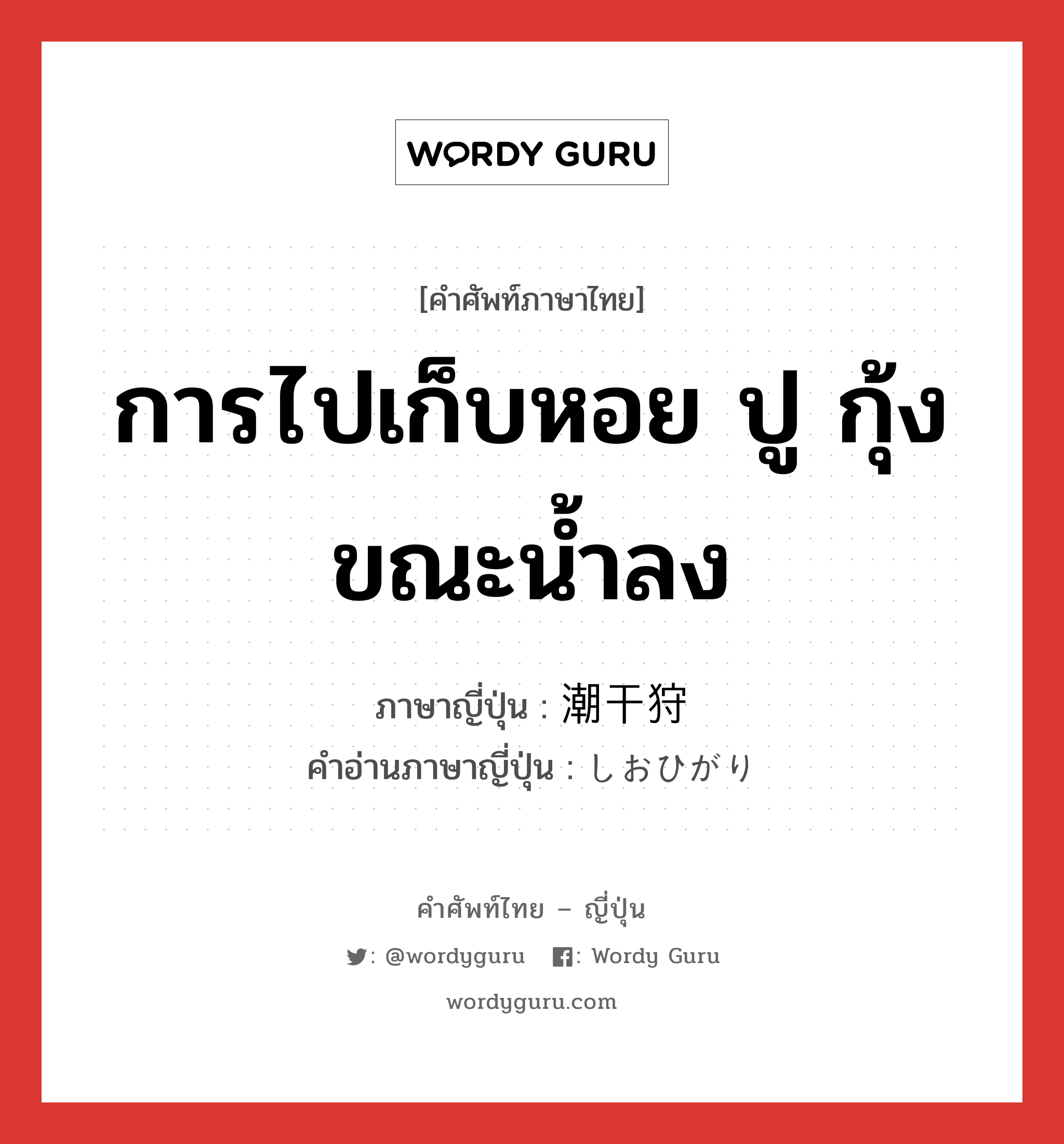 การไปเก็บหอย ปู กุ้ง ขณะน้ำลง ภาษาญี่ปุ่นคืออะไร, คำศัพท์ภาษาไทย - ญี่ปุ่น การไปเก็บหอย ปู กุ้ง ขณะน้ำลง ภาษาญี่ปุ่น 潮干狩 คำอ่านภาษาญี่ปุ่น しおひがり หมวด n หมวด n