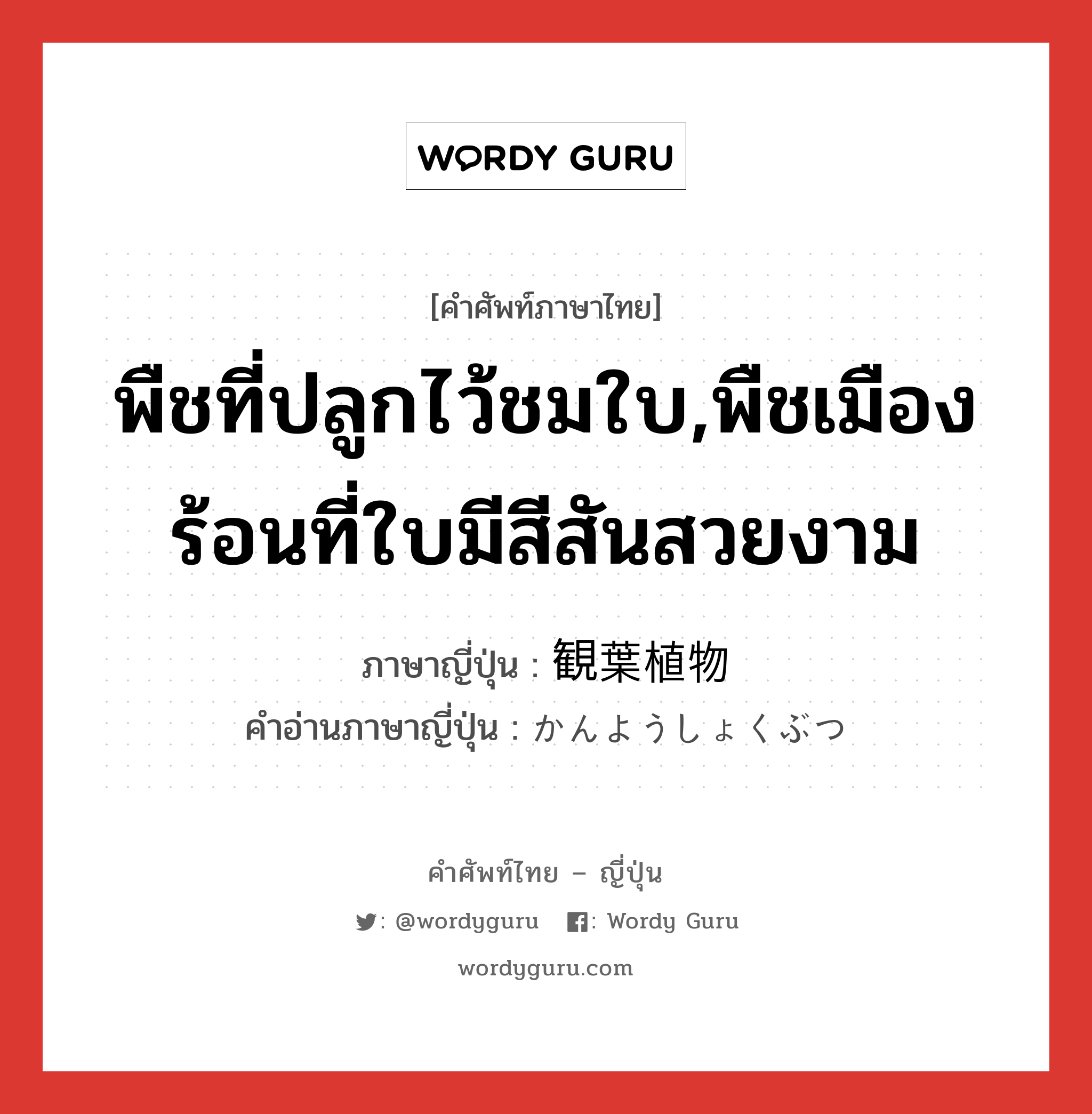 พืชที่ปลูกไว้ชมใบ,พืชเมืองร้อนที่ใบมีสีสันสวยงาม ภาษาญี่ปุ่นคืออะไร, คำศัพท์ภาษาไทย - ญี่ปุ่น พืชที่ปลูกไว้ชมใบ,พืชเมืองร้อนที่ใบมีสีสันสวยงาม ภาษาญี่ปุ่น 観葉植物 คำอ่านภาษาญี่ปุ่น かんようしょくぶつ หมวด n หมวด n