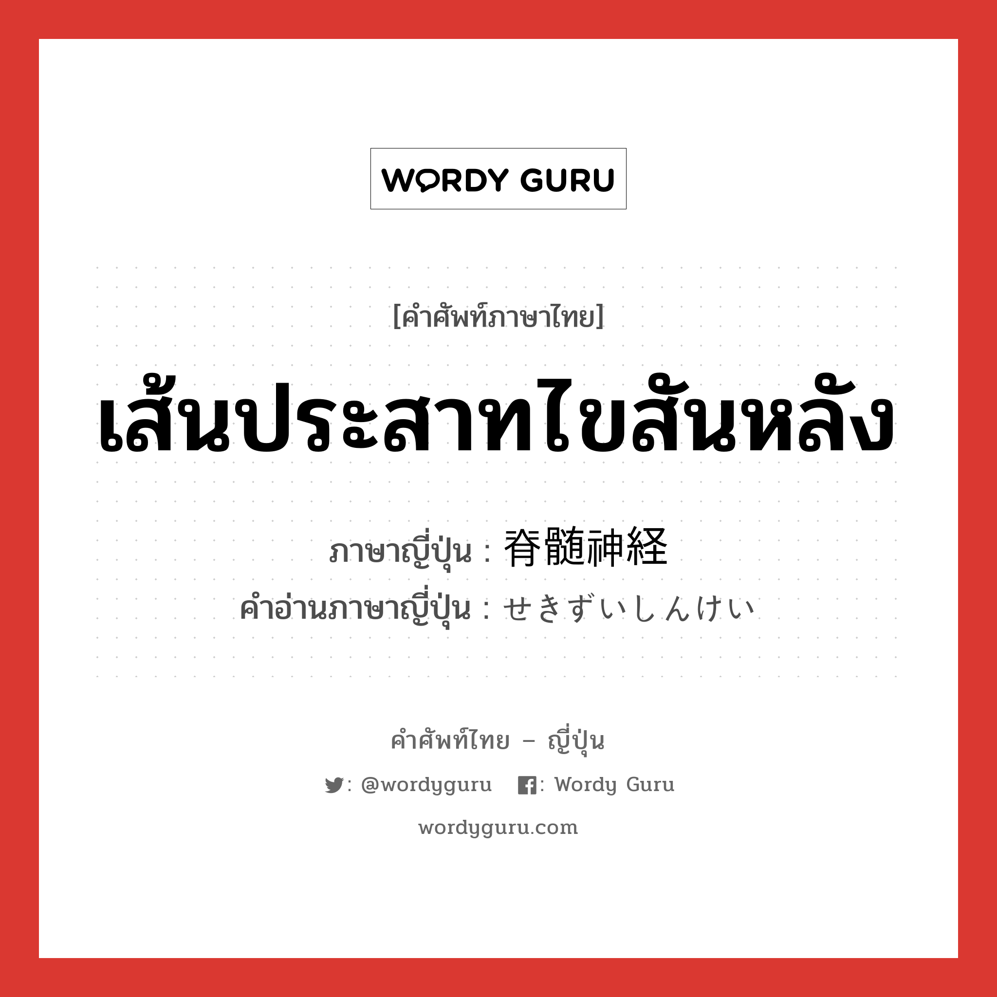 เส้นประสาทไขสันหลัง ภาษาญี่ปุ่นคืออะไร, คำศัพท์ภาษาไทย - ญี่ปุ่น เส้นประสาทไขสันหลัง ภาษาญี่ปุ่น 脊髄神経 คำอ่านภาษาญี่ปุ่น せきずいしんけい หมวด n หมวด n