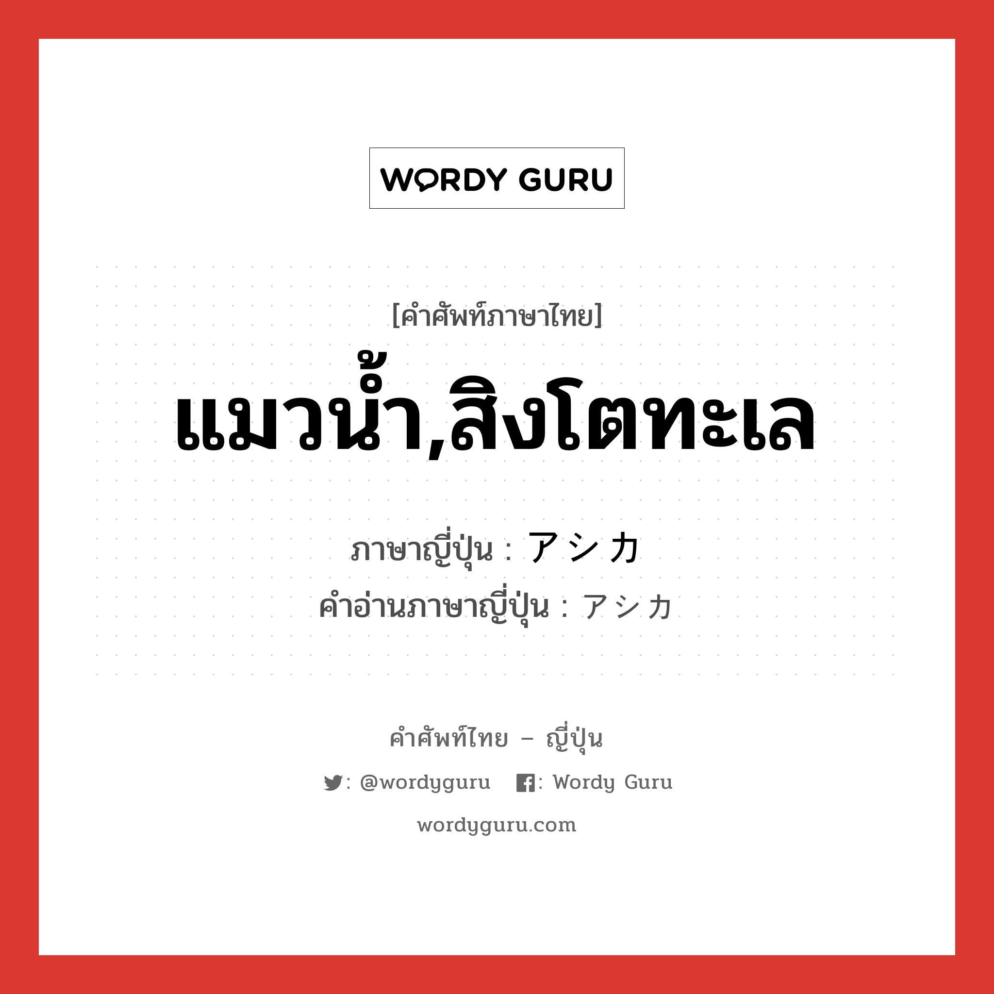 แมวน้ำ,สิงโตทะเล ภาษาญี่ปุ่นคืออะไร, คำศัพท์ภาษาไทย - ญี่ปุ่น แมวน้ำ,สิงโตทะเล ภาษาญี่ปุ่น アシカ คำอ่านภาษาญี่ปุ่น アシカ หมวด n หมวด n