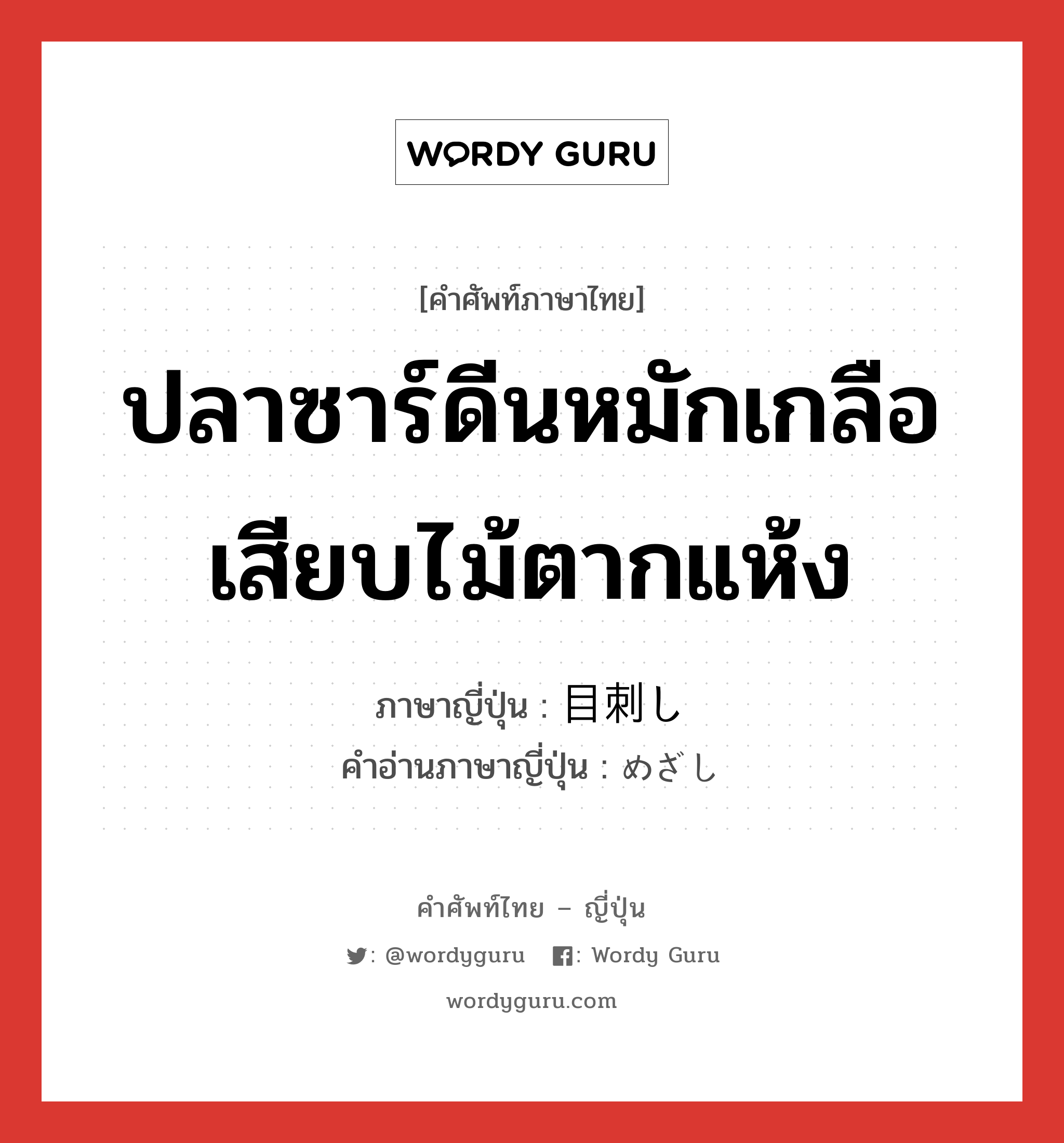 ปลาซาร์ดีนหมักเกลือเสียบไม้ตากแห้ง ภาษาญี่ปุ่นคืออะไร, คำศัพท์ภาษาไทย - ญี่ปุ่น ปลาซาร์ดีนหมักเกลือเสียบไม้ตากแห้ง ภาษาญี่ปุ่น 目刺し คำอ่านภาษาญี่ปุ่น めざし หมวด n หมวด n