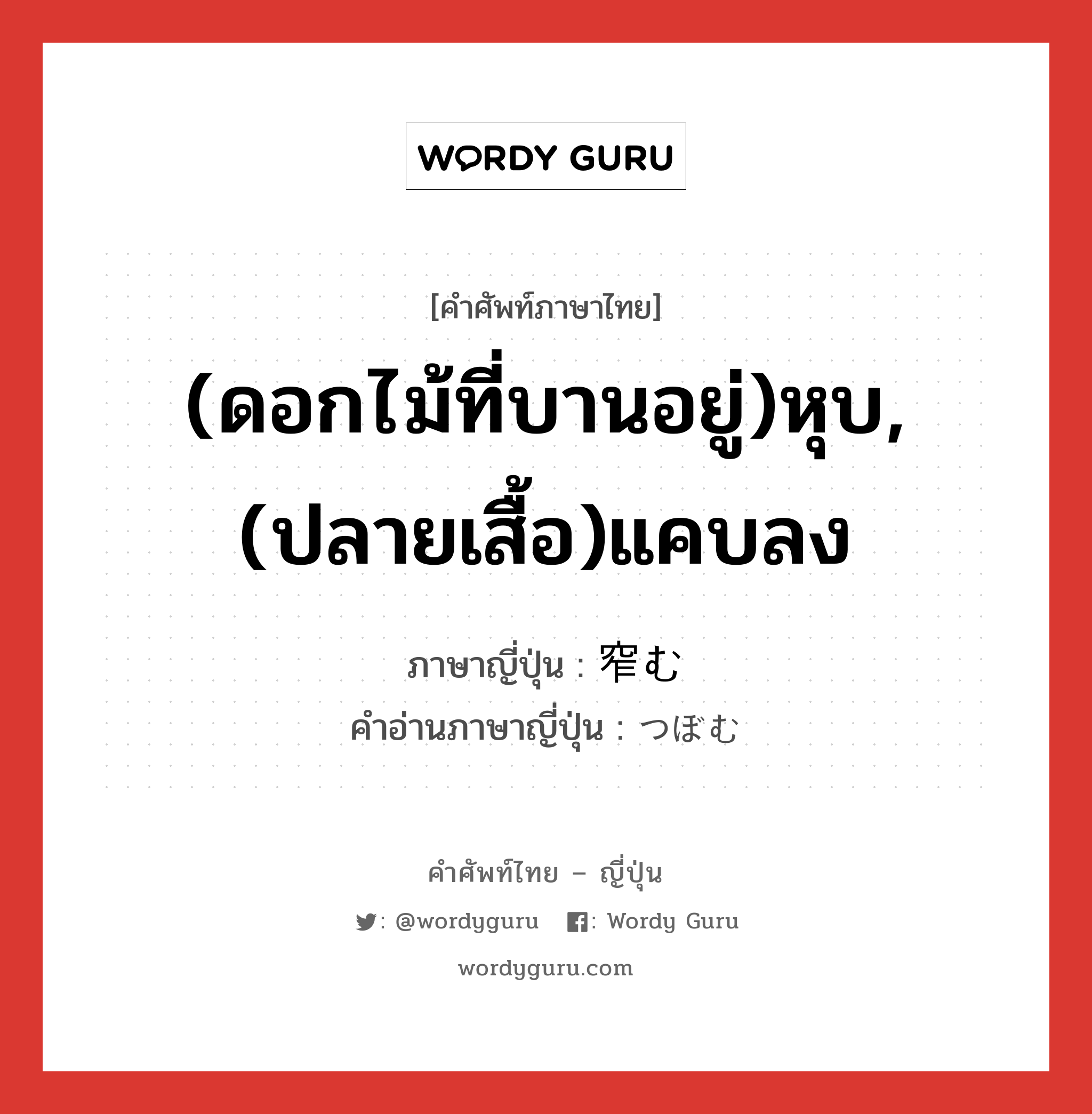 (ดอกไม้ที่บานอยู่)หุบ,(ปลายเสื้อ)แคบลง ภาษาญี่ปุ่นคืออะไร, คำศัพท์ภาษาไทย - ญี่ปุ่น (ดอกไม้ที่บานอยู่)หุบ,(ปลายเสื้อ)แคบลง ภาษาญี่ปุ่น 窄む คำอ่านภาษาญี่ปุ่น つぼむ หมวด v5u หมวด v5u