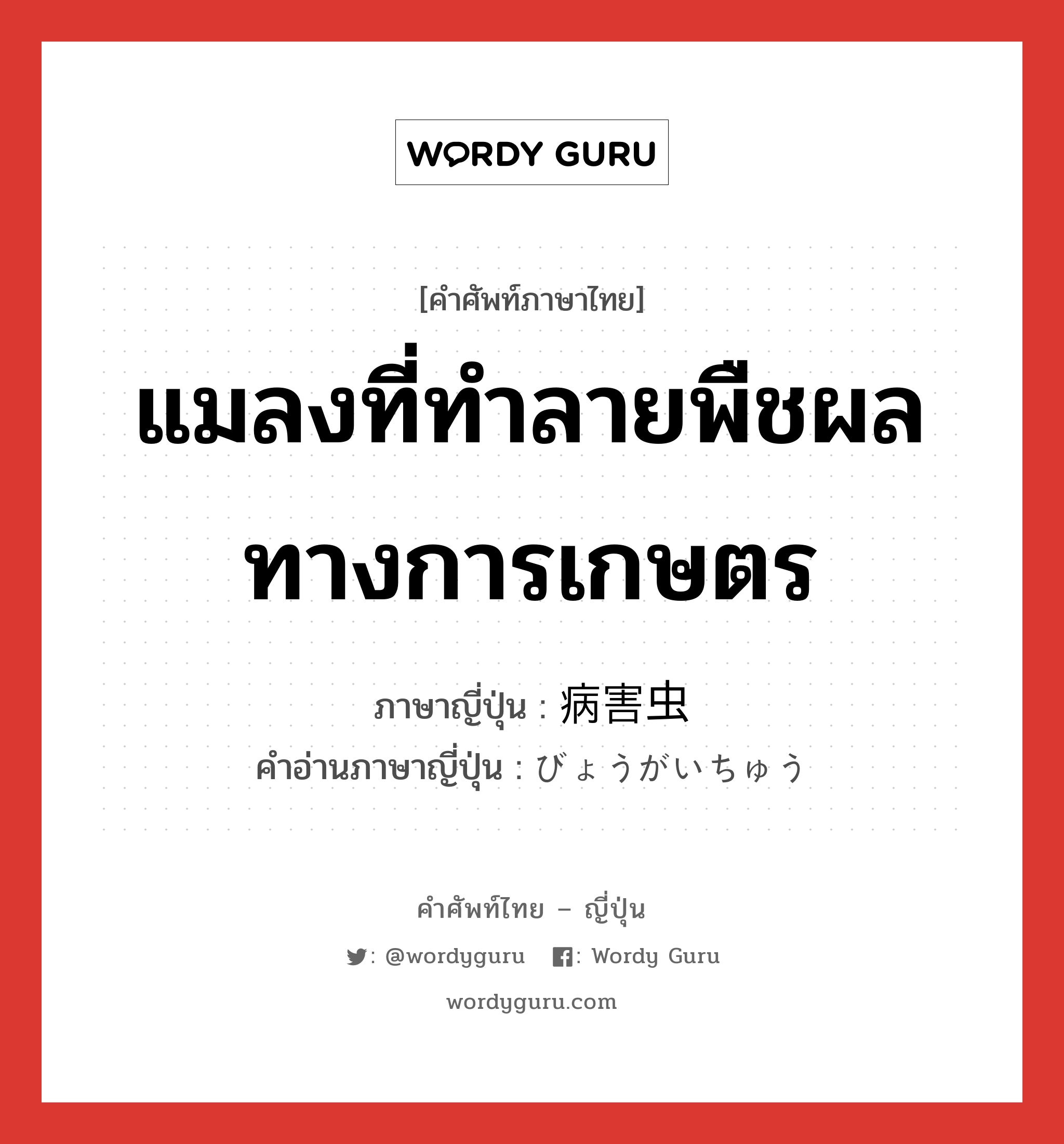 病害虫 ภาษาไทย?, คำศัพท์ภาษาไทย - ญี่ปุ่น 病害虫 ภาษาญี่ปุ่น แมลงที่ทำลายพืชผลทางการเกษตร คำอ่านภาษาญี่ปุ่น びょうがいちゅう หมวด n หมวด n