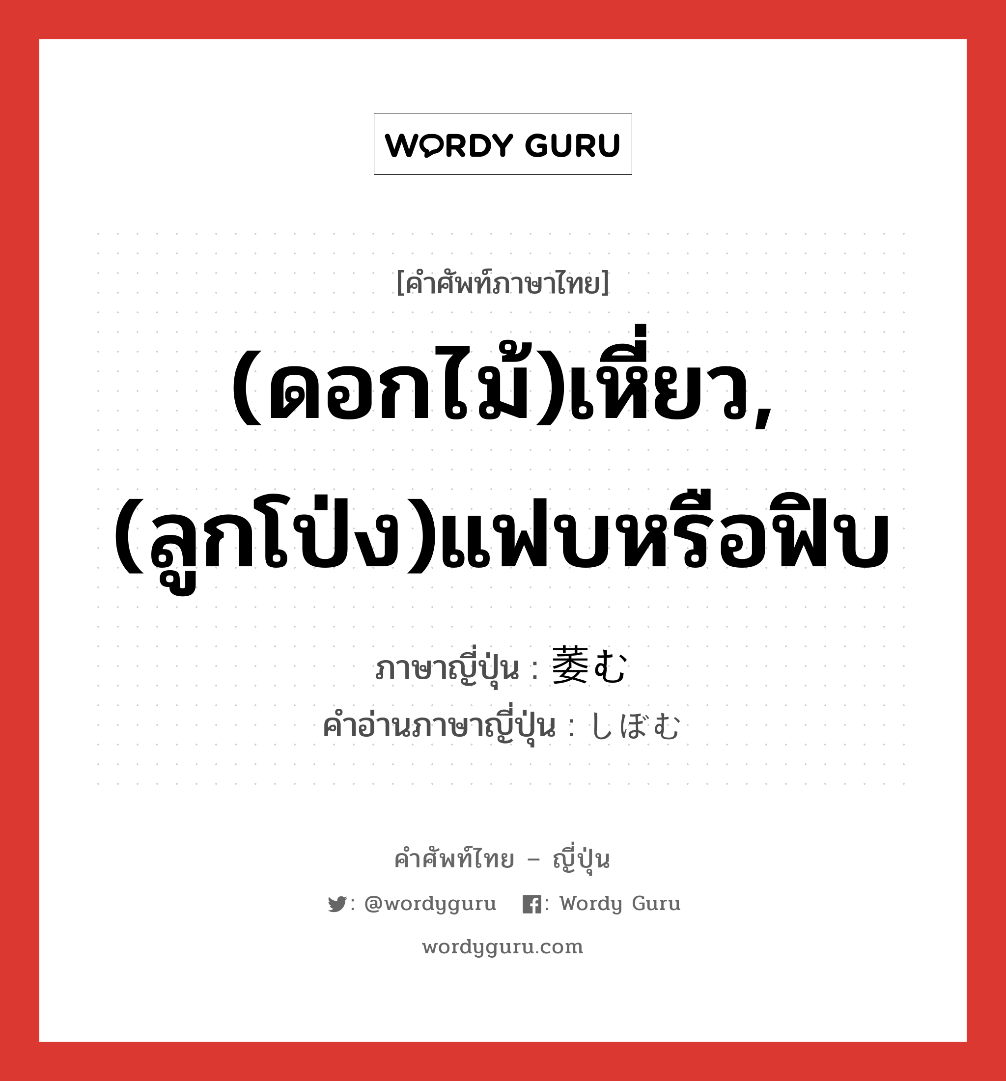 (ดอกไม้)เหี่ยว,(ลูกโป่ง)แฟบหรือฟิบ ภาษาญี่ปุ่นคืออะไร, คำศัพท์ภาษาไทย - ญี่ปุ่น (ดอกไม้)เหี่ยว,(ลูกโป่ง)แฟบหรือฟิบ ภาษาญี่ปุ่น 萎む คำอ่านภาษาญี่ปุ่น しぼむ หมวด v5m หมวด v5m