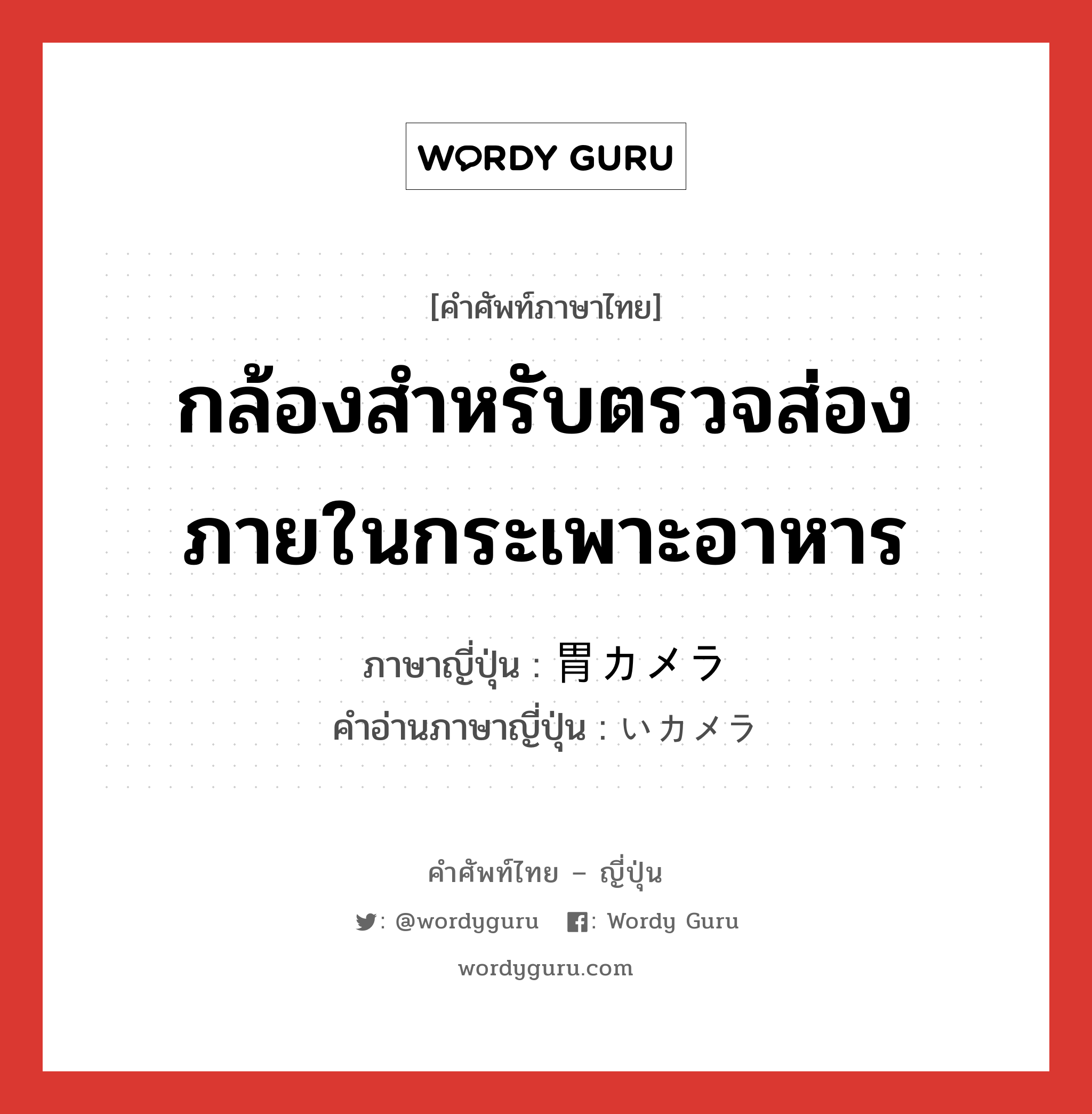 กล้องสำหรับตรวจส่องภายในกระเพาะอาหาร ภาษาญี่ปุ่นคืออะไร, คำศัพท์ภาษาไทย - ญี่ปุ่น กล้องสำหรับตรวจส่องภายในกระเพาะอาหาร ภาษาญี่ปุ่น 胃カメラ คำอ่านภาษาญี่ปุ่น いカメラ หมวด n หมวด n